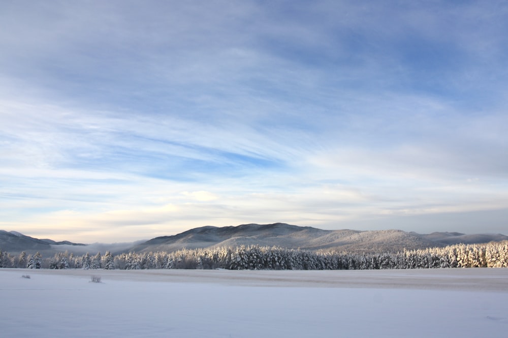 a snow covered field with trees and mountains in the background