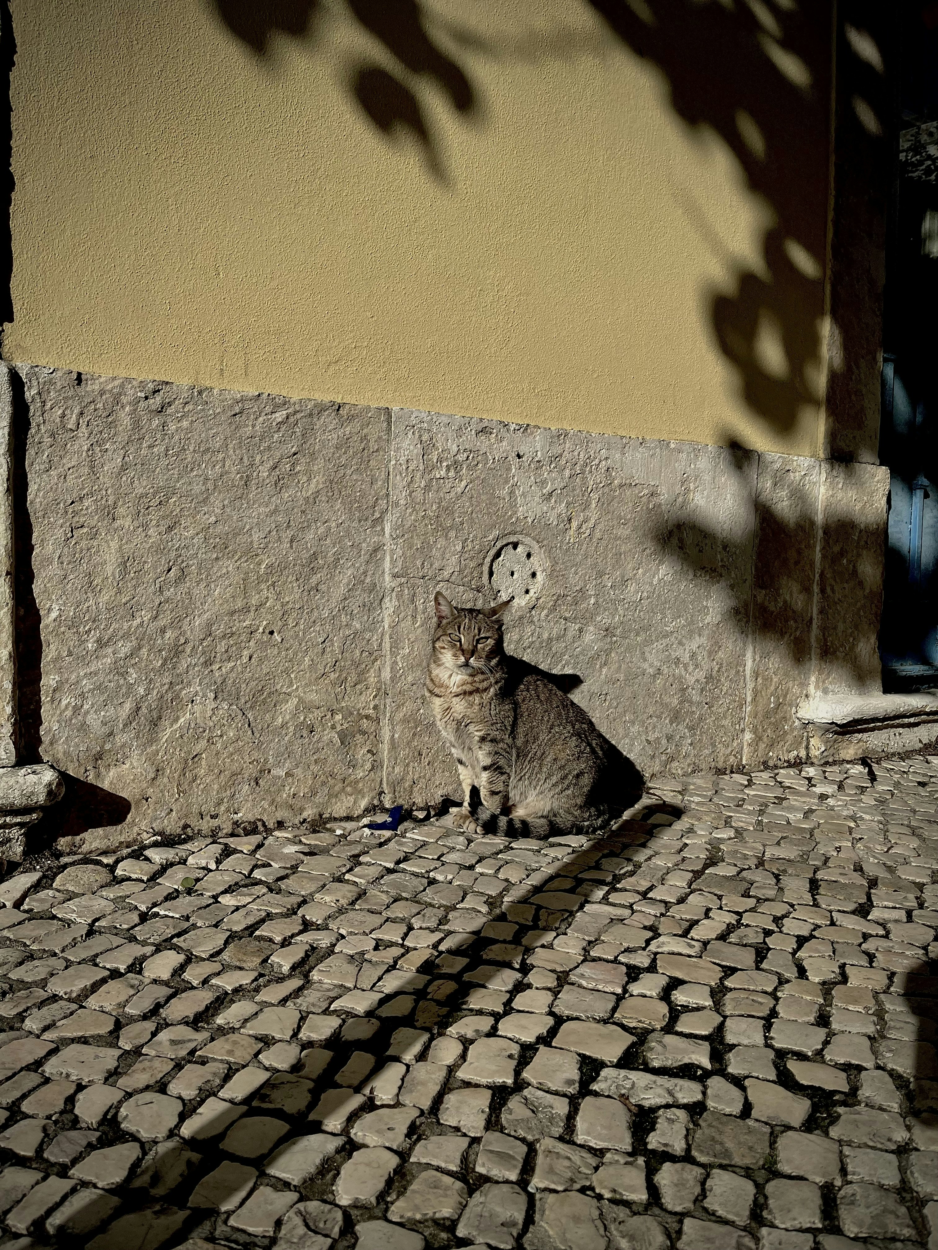 Photo by sufiyanshaik