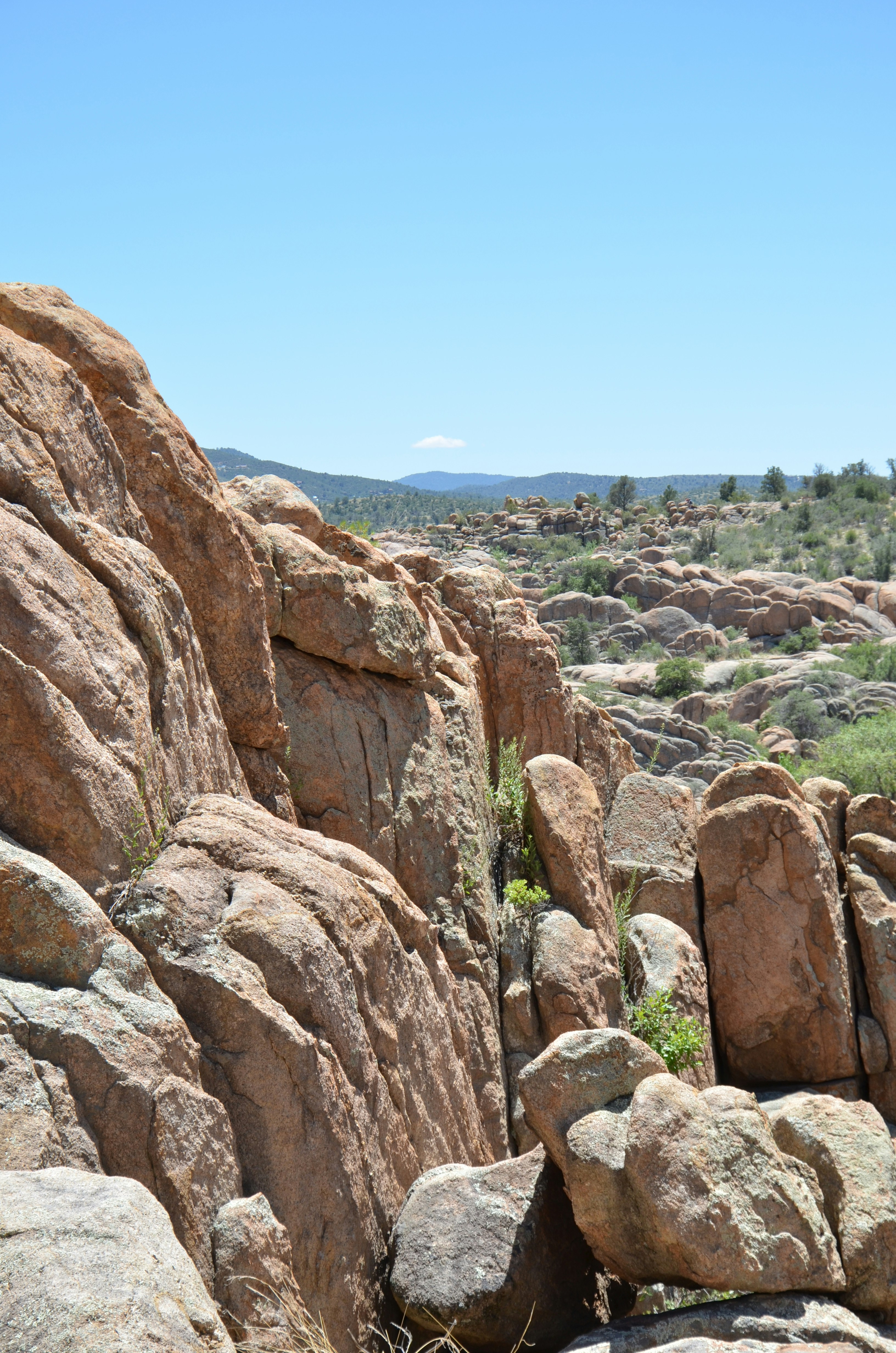 Photo by expressionsbycmarie