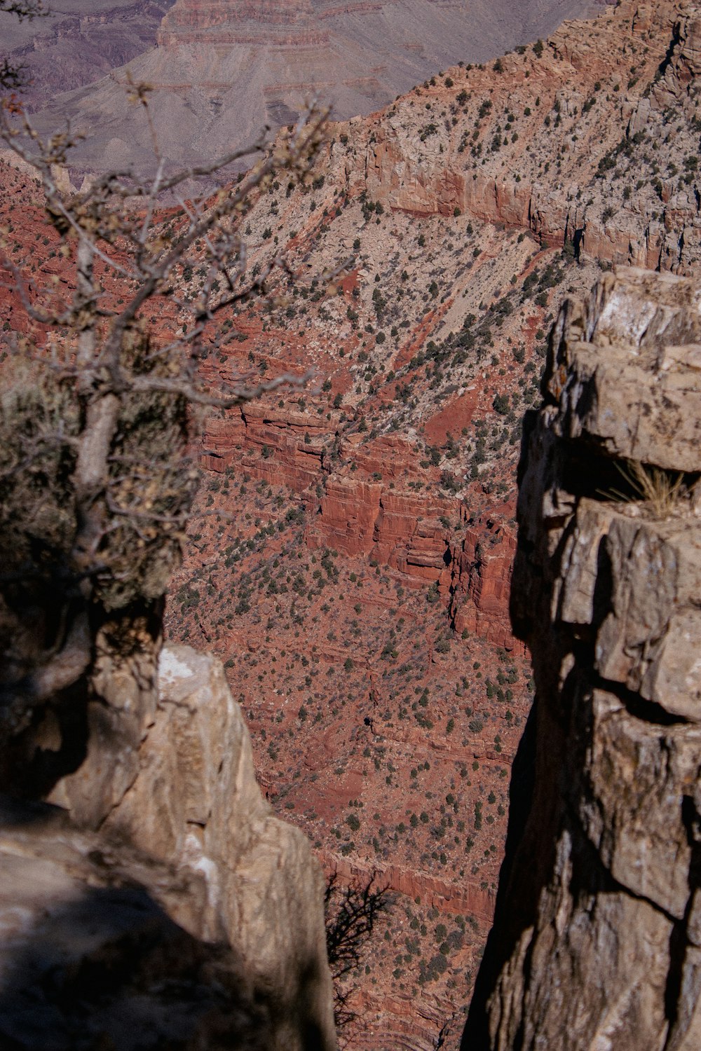 a man standing on a cliff overlooking a canyon