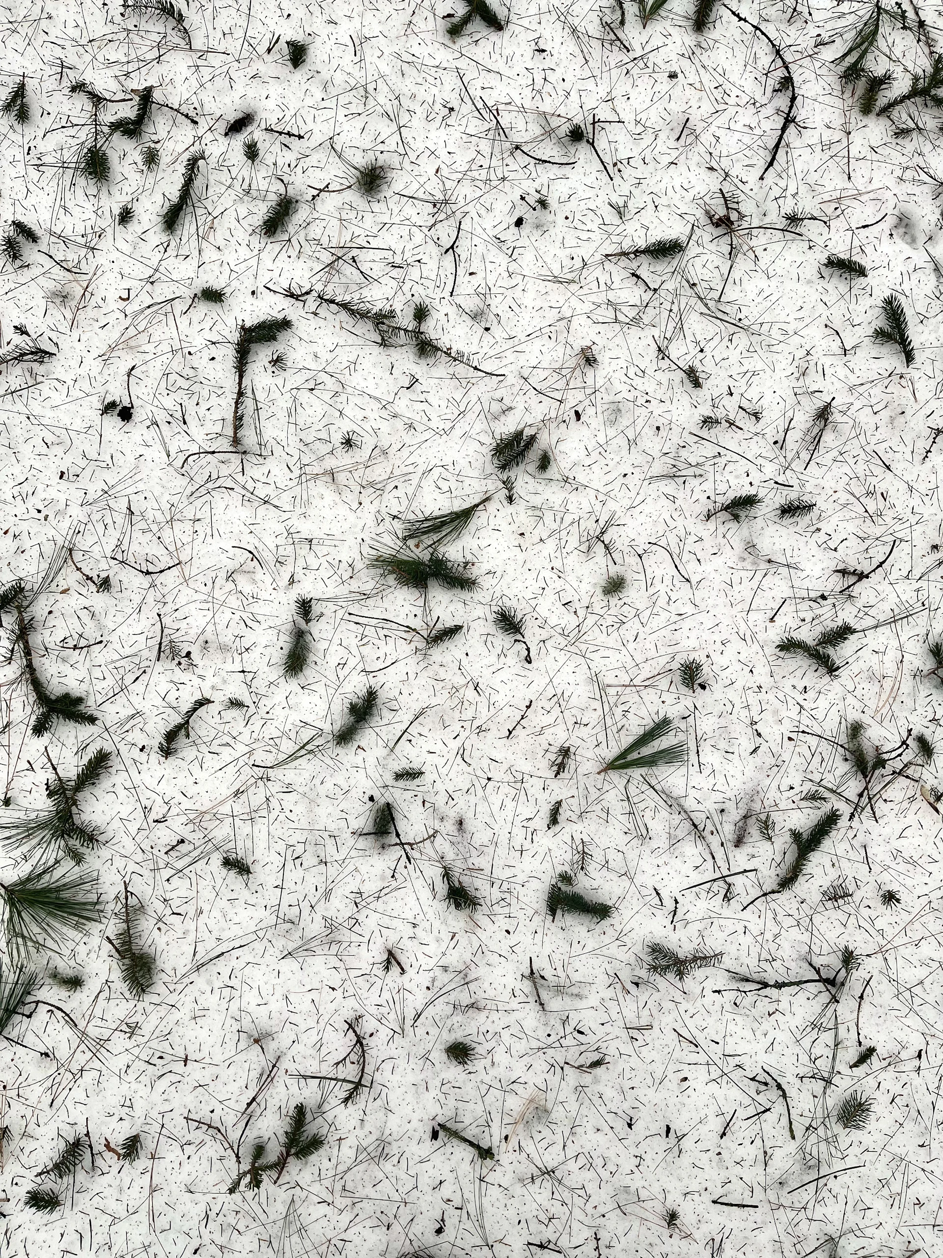 a bunch of black flies flying through the air