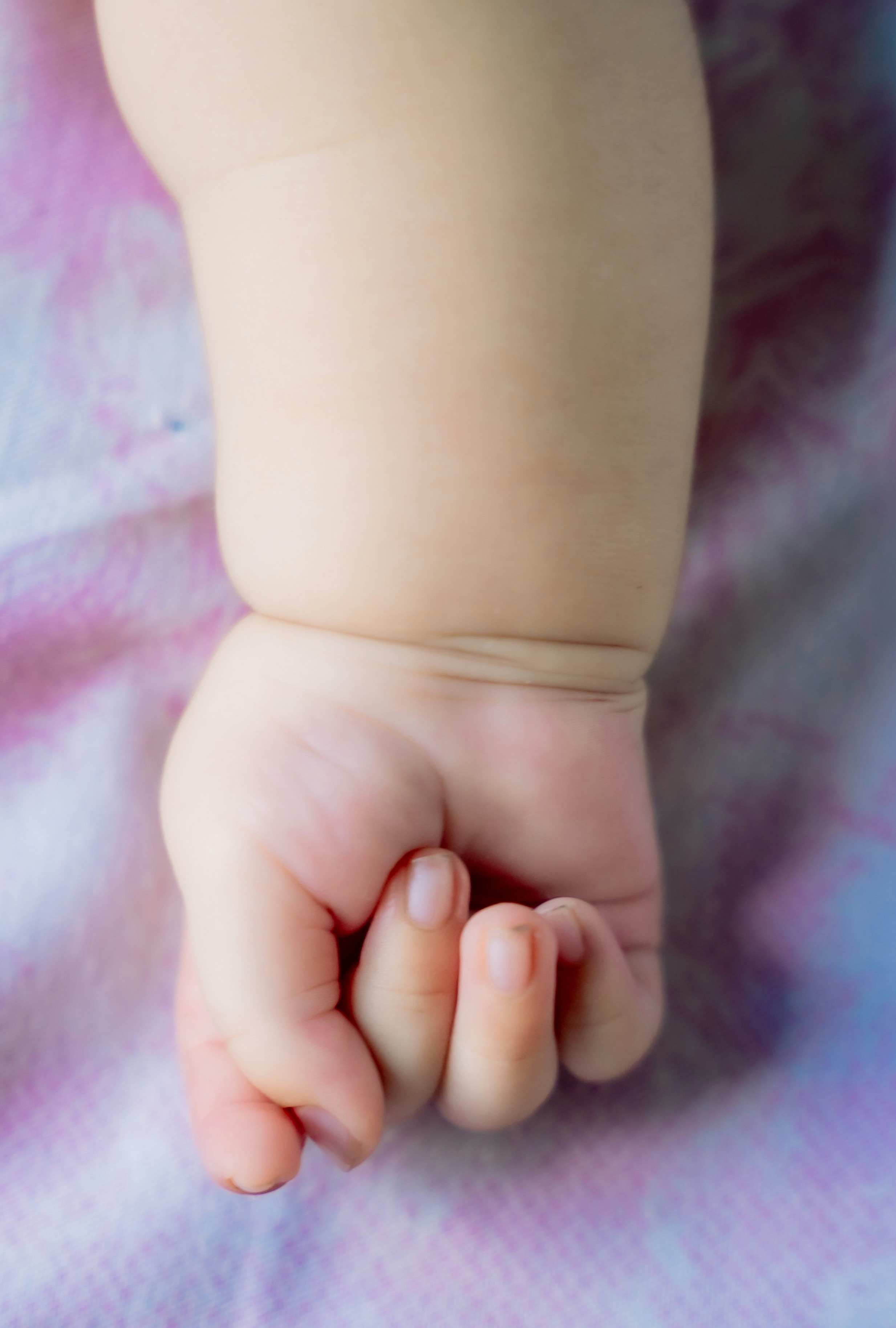 Photo by basnetprabin66