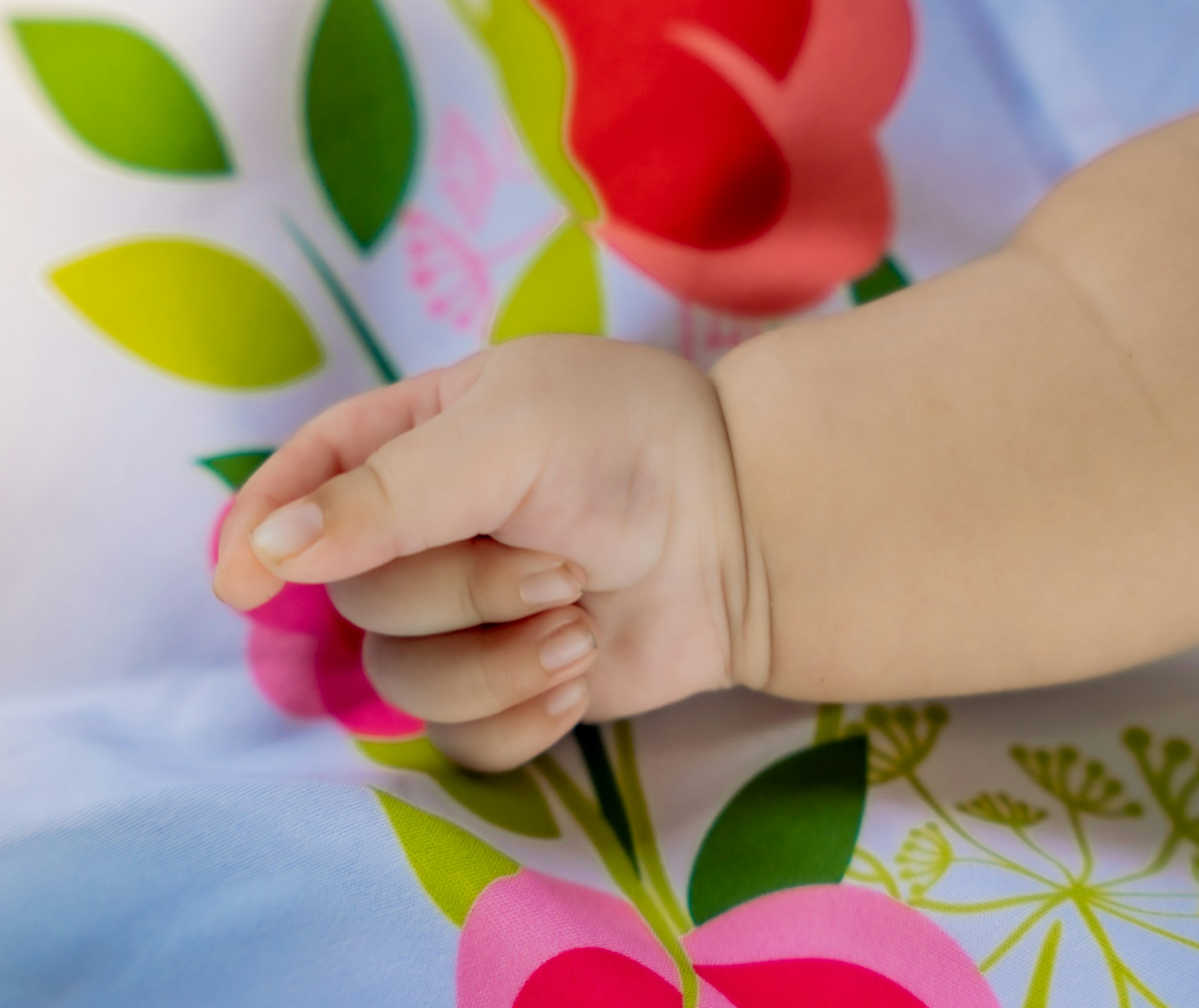 a close up of a baby's hand holding a flower