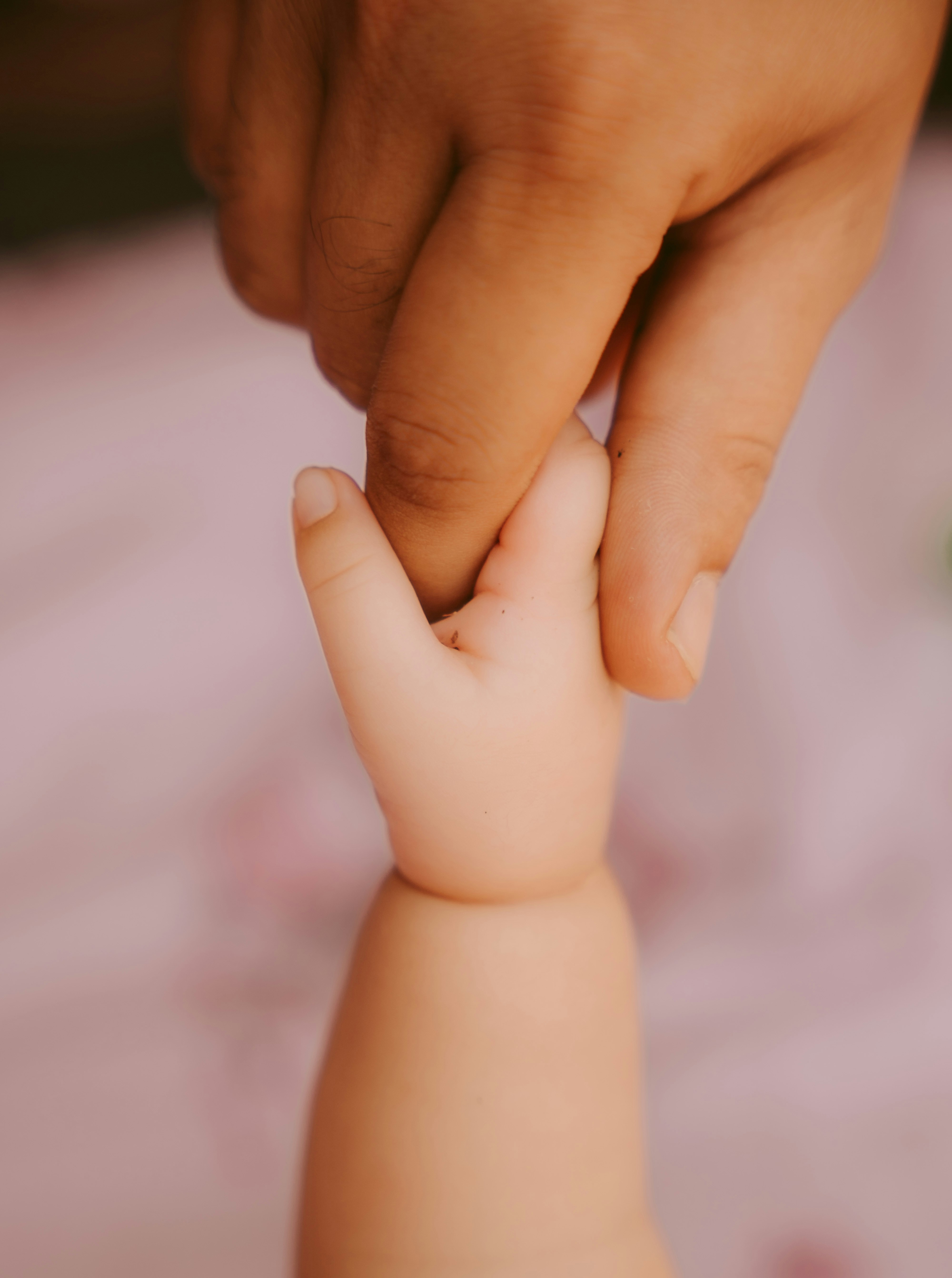 Photo by basnetprabin66