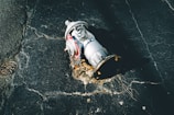 A damaged fire hydrant lies on its side on cracked asphalt. The metal surface is covered with rust and dirt, and a chain is attached to it. The pavement shows signs of wear and tear, with visible cracks and holes.