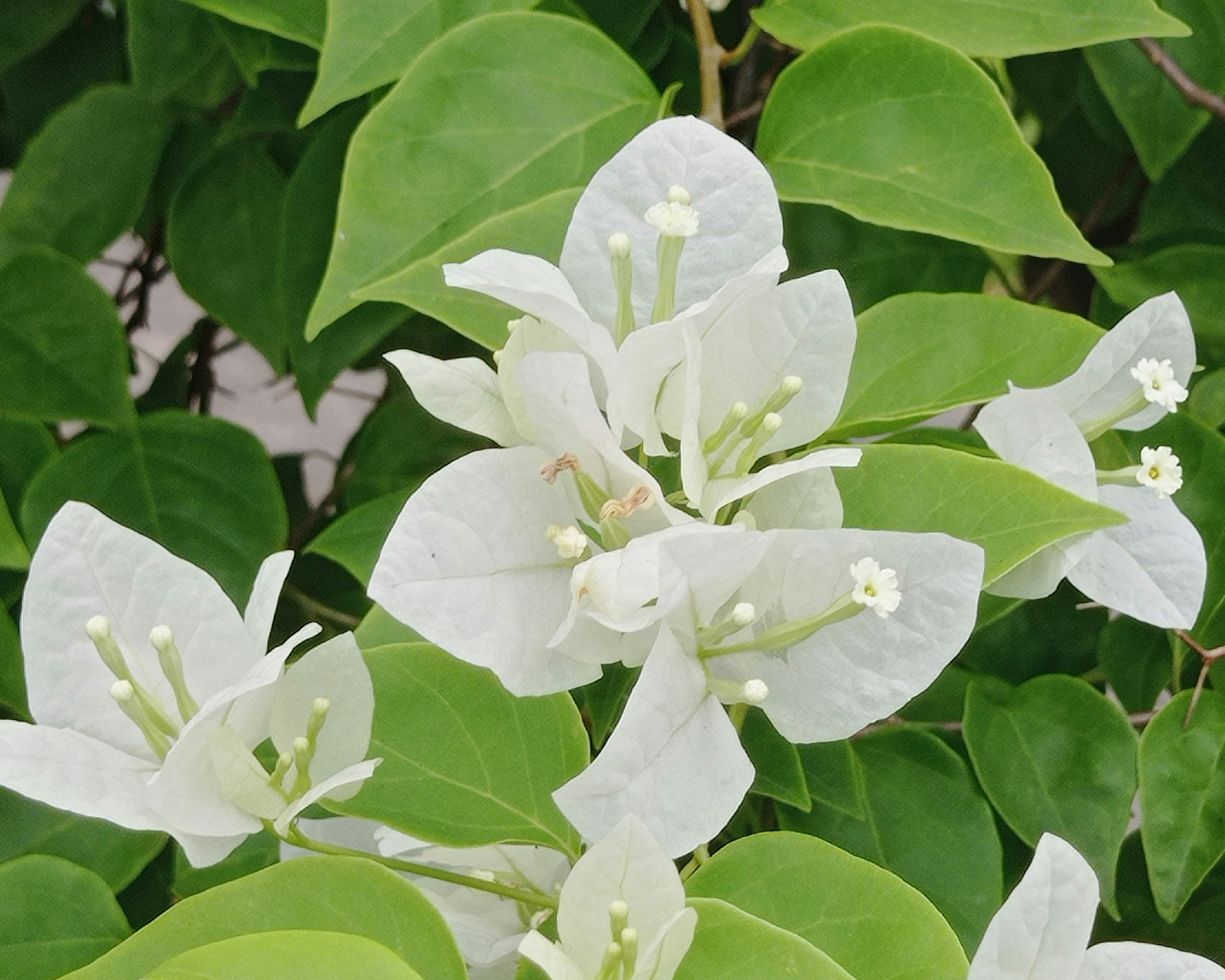 Photo by arkan_maker