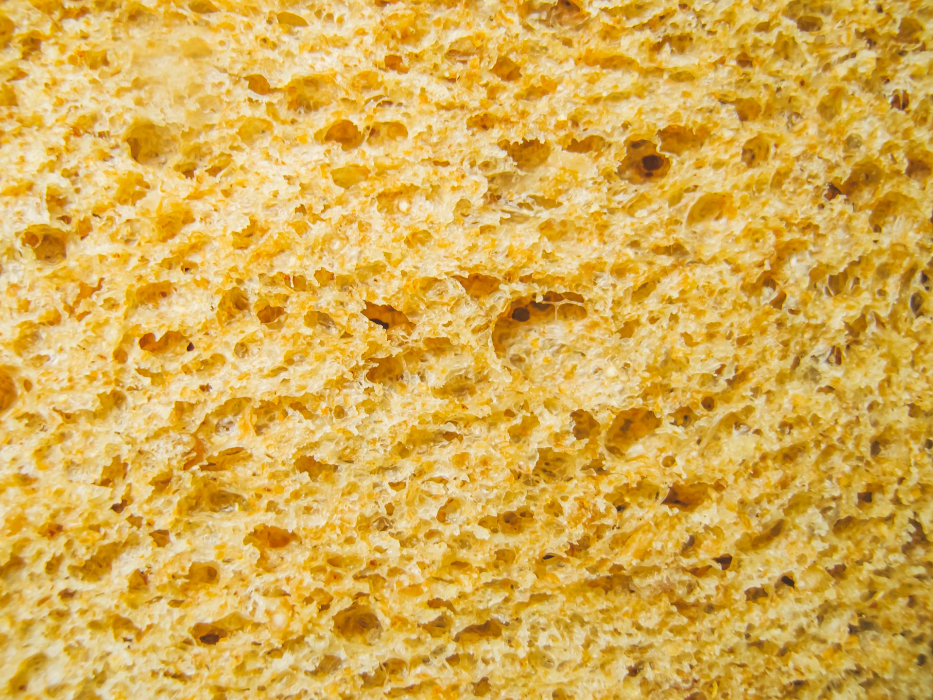 a close up of a piece of bread