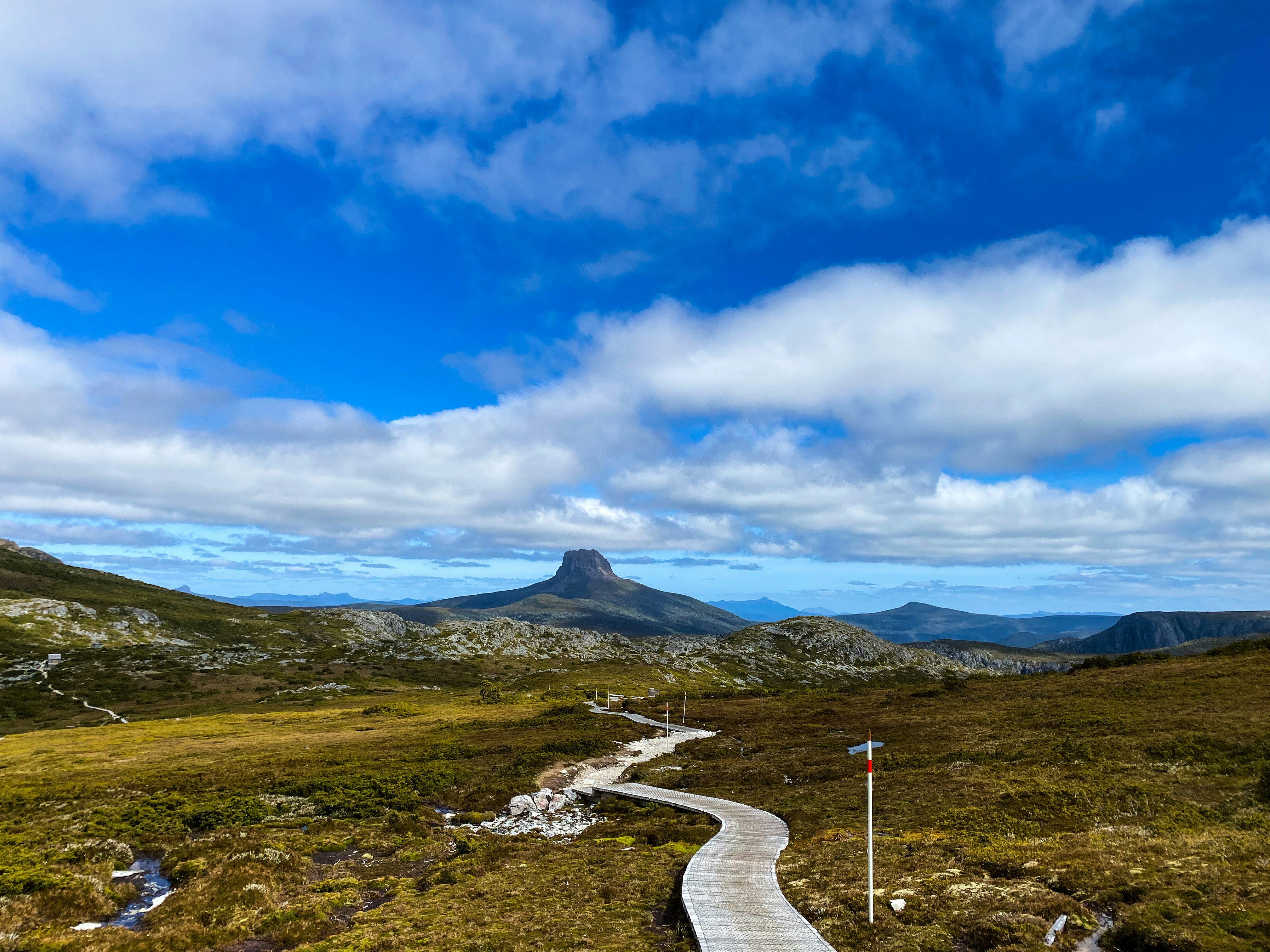 a wooden path in the middle of a grassy field