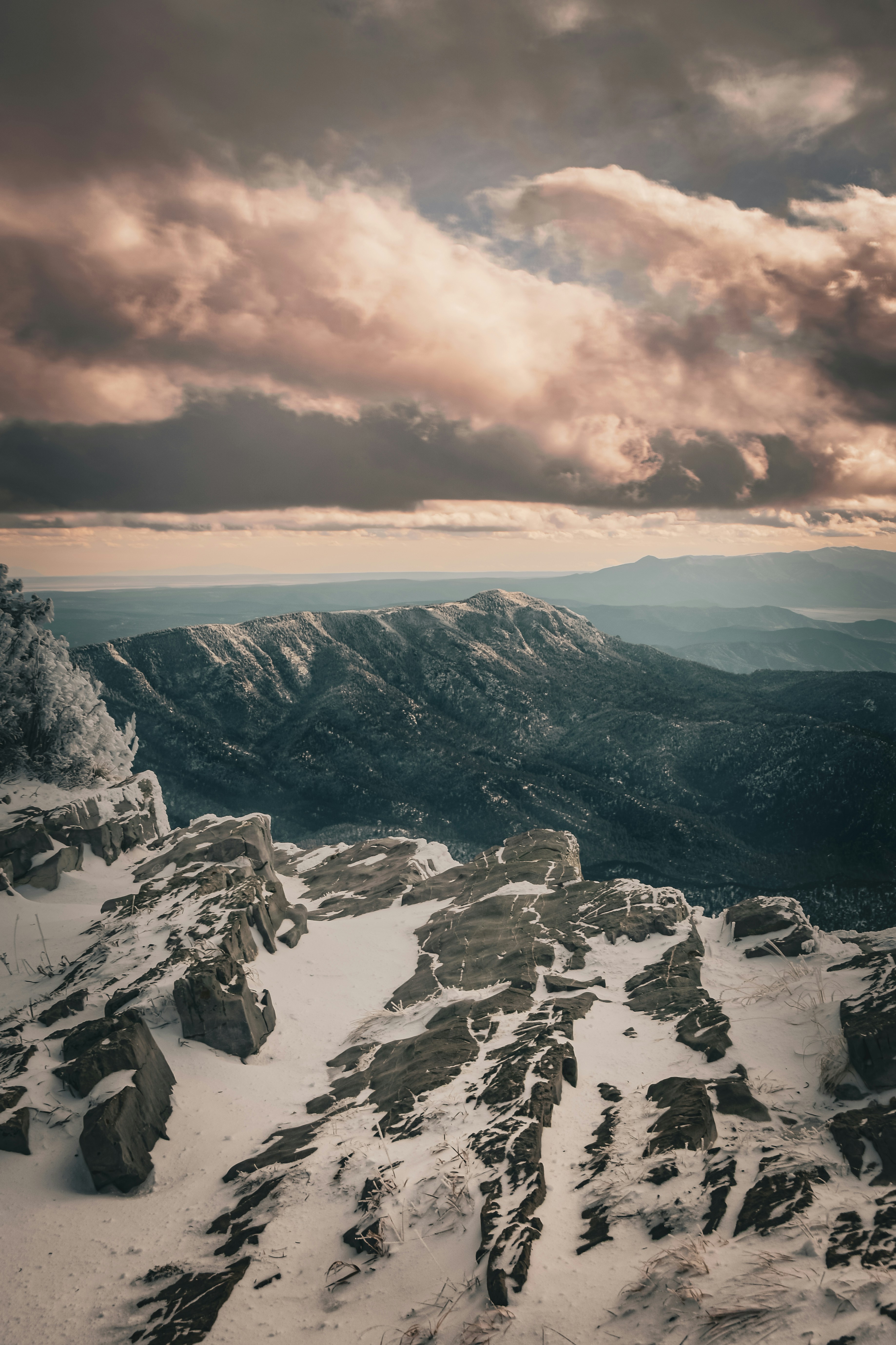 Photo by scottelkins