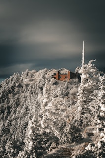 A solitary cabin silhouetted against a deep gray sky, nestled in a quiet Nordic landscape.