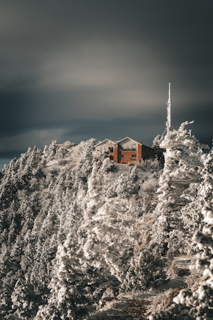 A solitary cabin silhouetted against a deep gray sky, nestled in a quiet Nordic landscape.