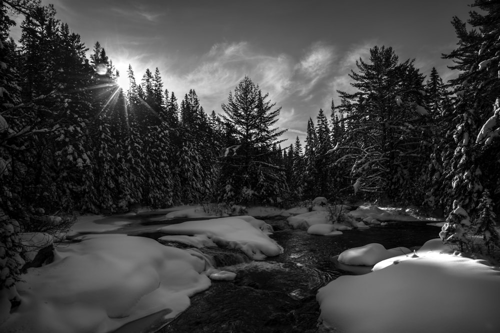 a stream running through a forest covered in snow