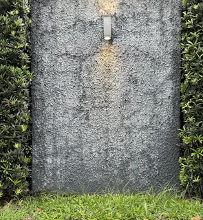 A sleek charcoal-colored retaining wall with integrated lighting highlighting the landscaping.