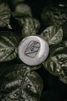 A delicate shaligram stone resting gently on a bed of fresh green leaves.