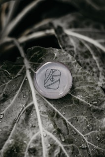 A large green leaf with visible water droplets covers the frame. In the center lies a round, transparent stone or crystal with a symbol engraved on it, featuring geometric shapes and lines.
