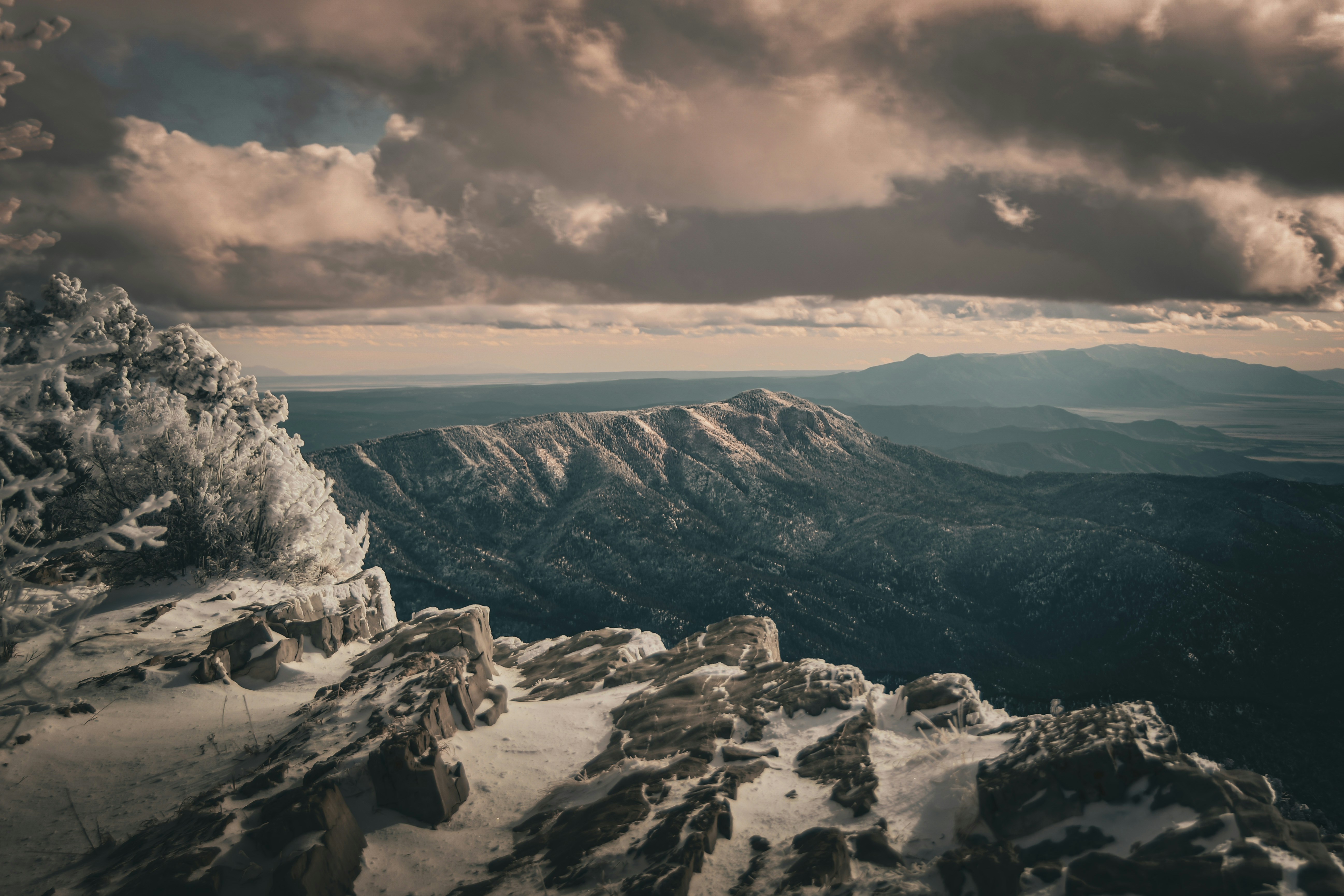 Photo by scottelkins