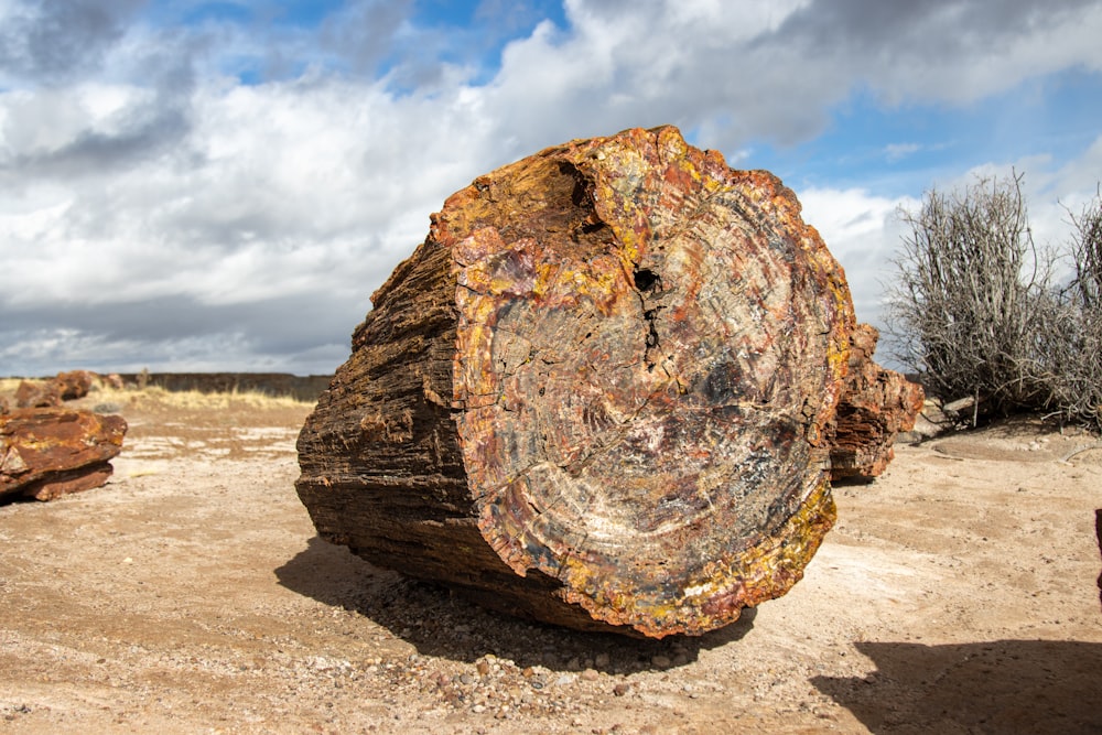 a large piece of wood sitting on top of a dirt field
