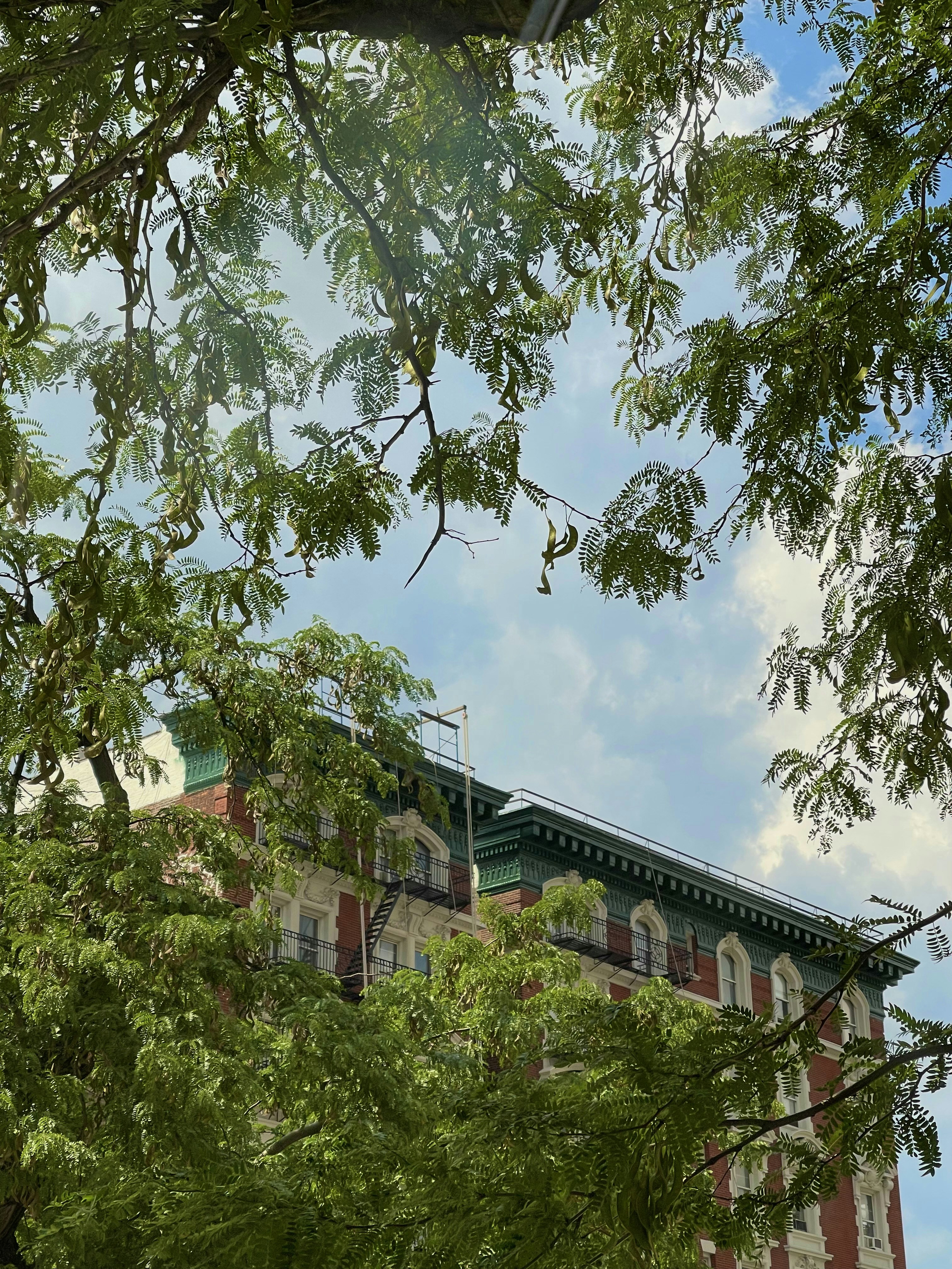 Photo by scarlettnpena