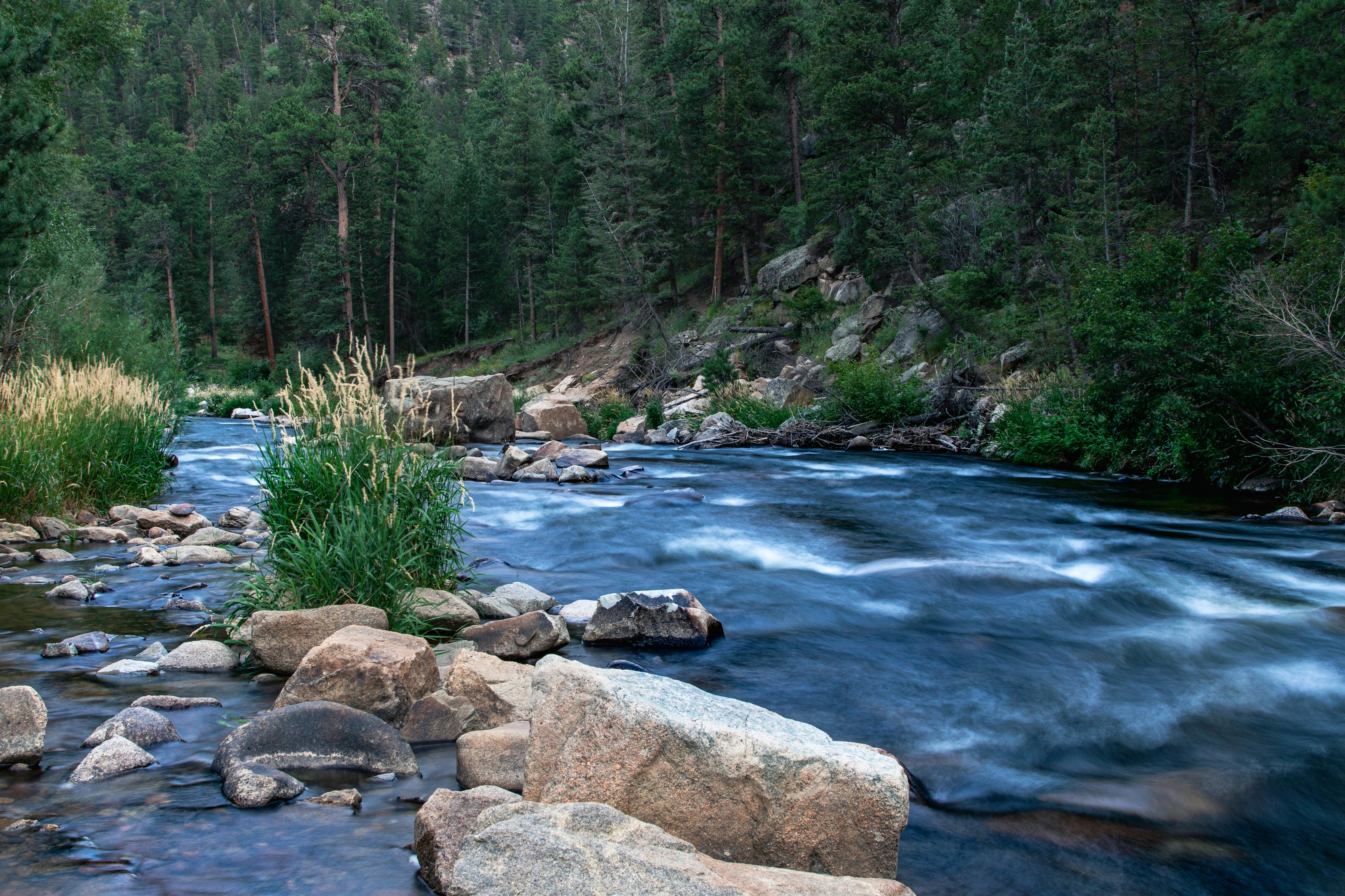 Buffalo Creek, Colorado