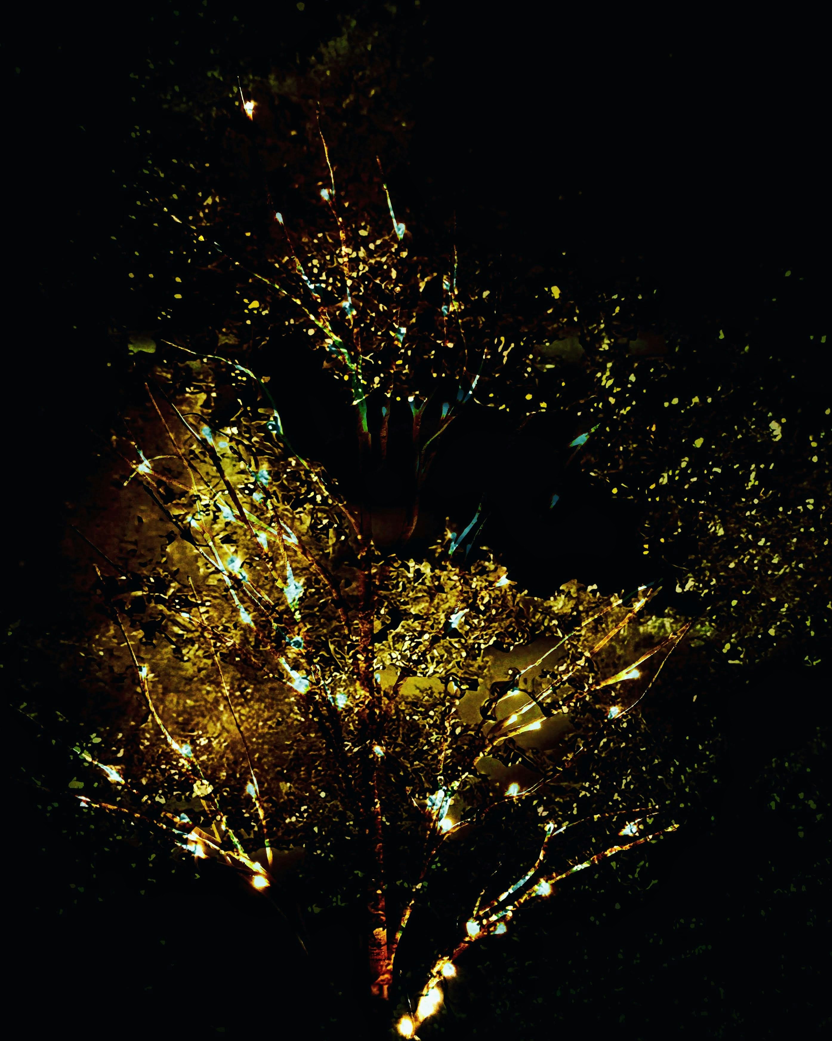 a tree is lit up at night in the dark