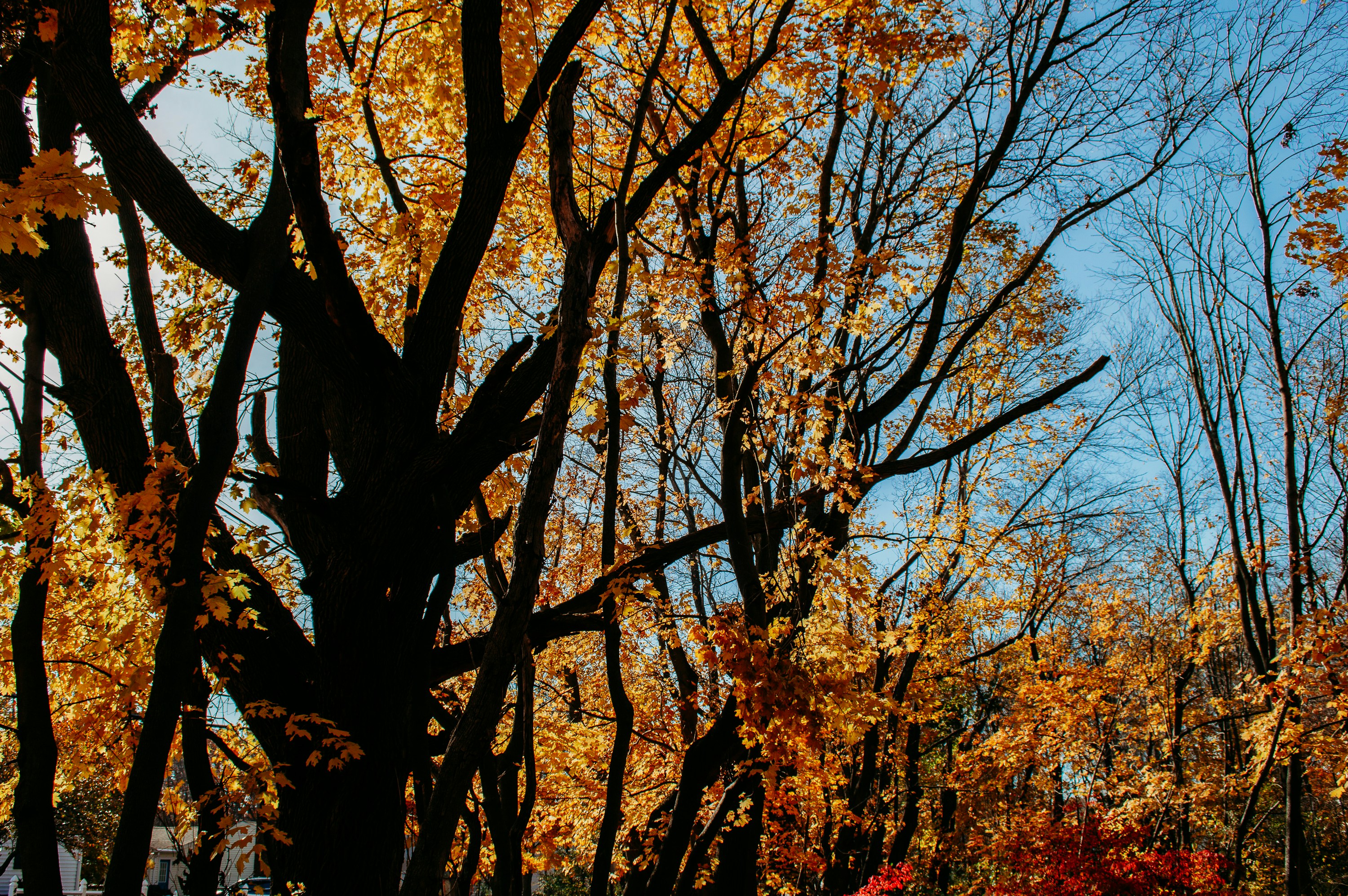 Photo by vsezini