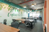 Modern office workspace with ergonomic chairs and spacious desks under natural light