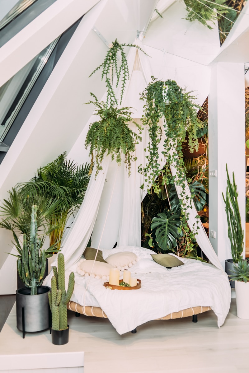 Mosquitera para Cama Doble con Aro