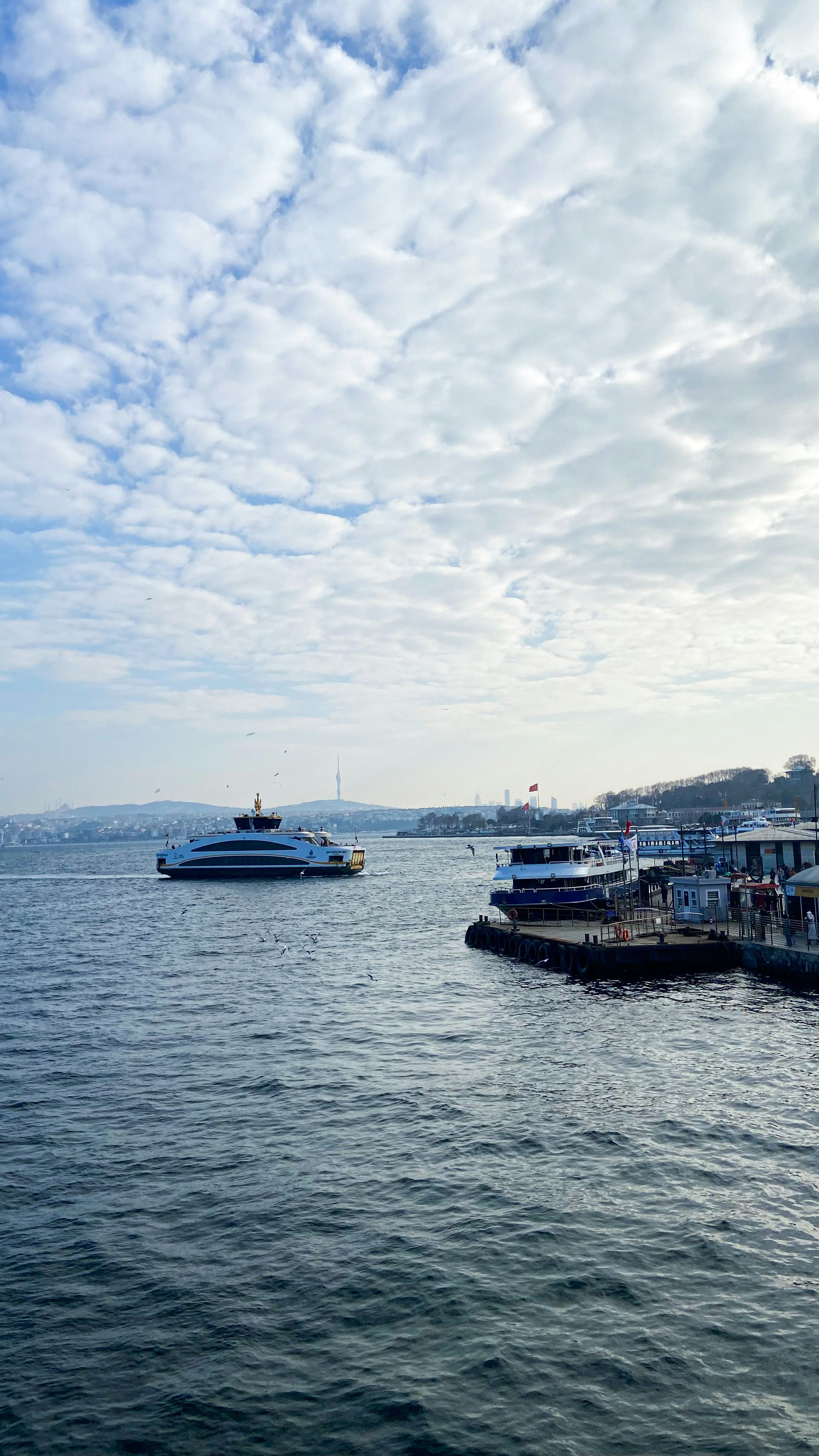 Photo by mari_kuklina