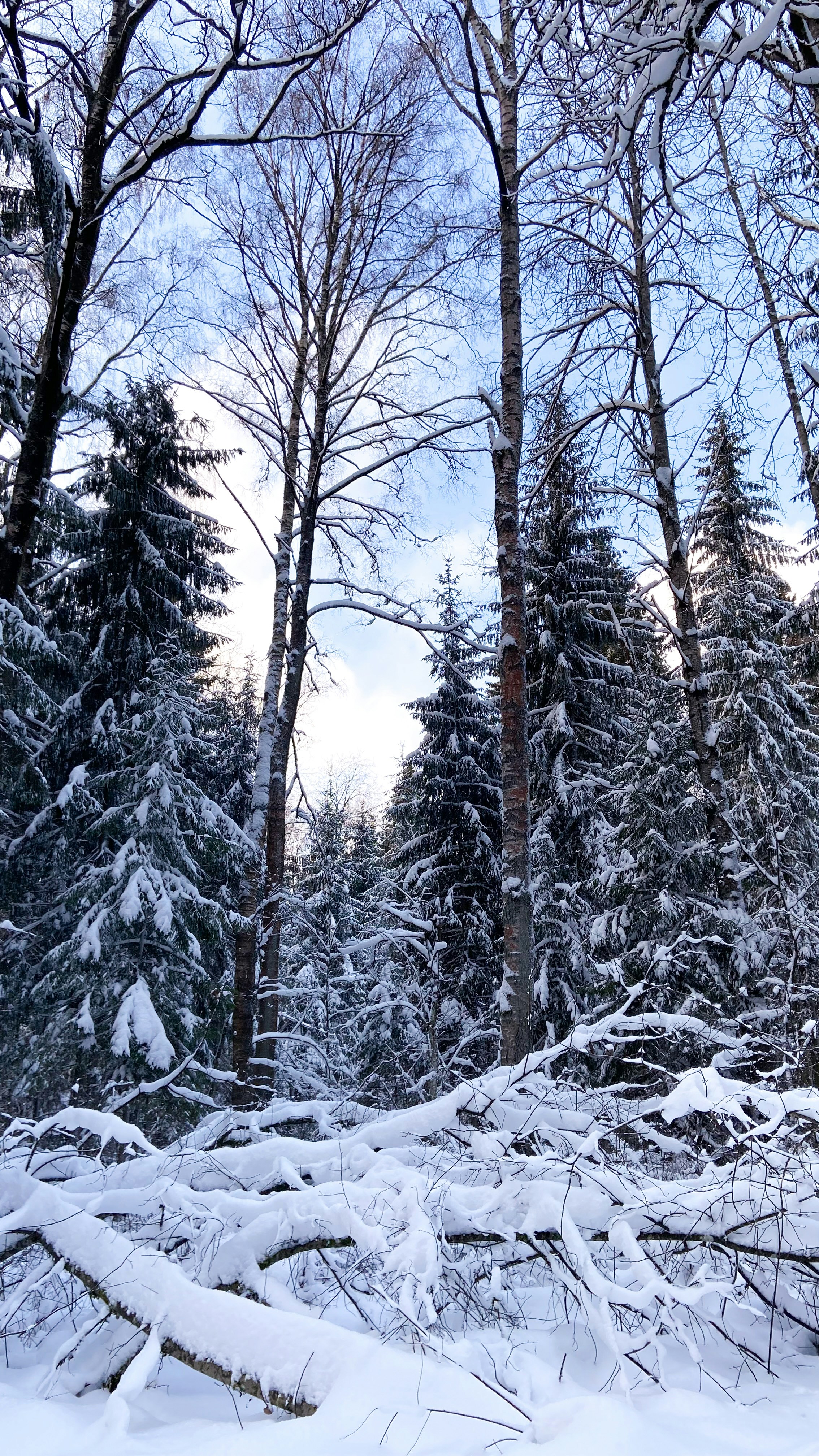 Photo by mari_kuklina