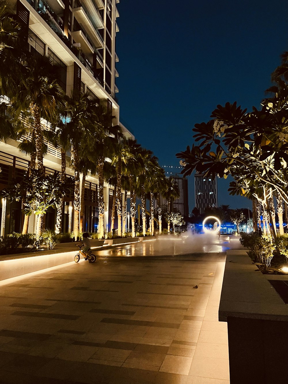 a city street at night with palm trees