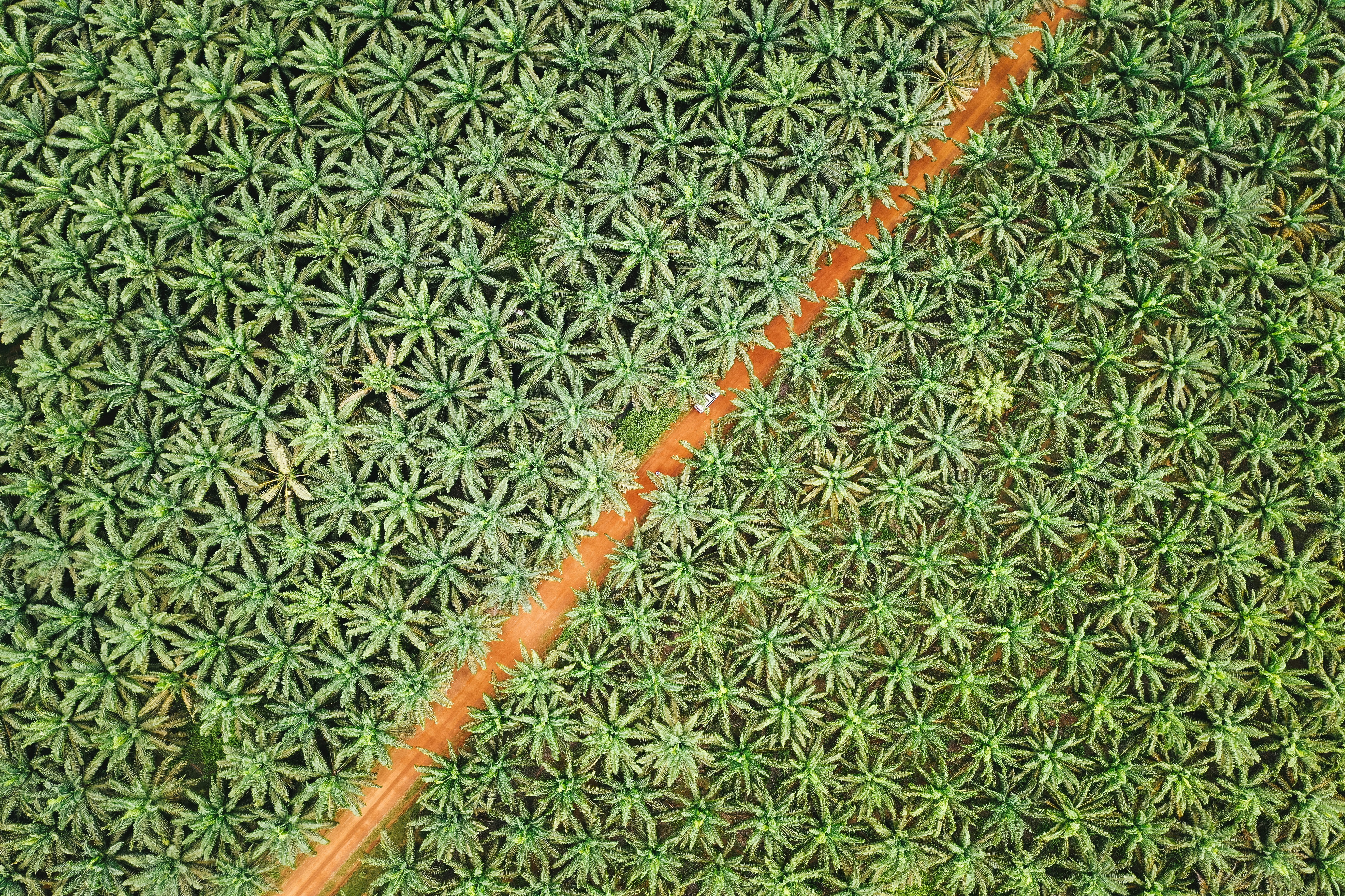 Strengthening Efforts to Prevent Forest and Land Fires in Indonesia: A New Cross-Sector Collaboration