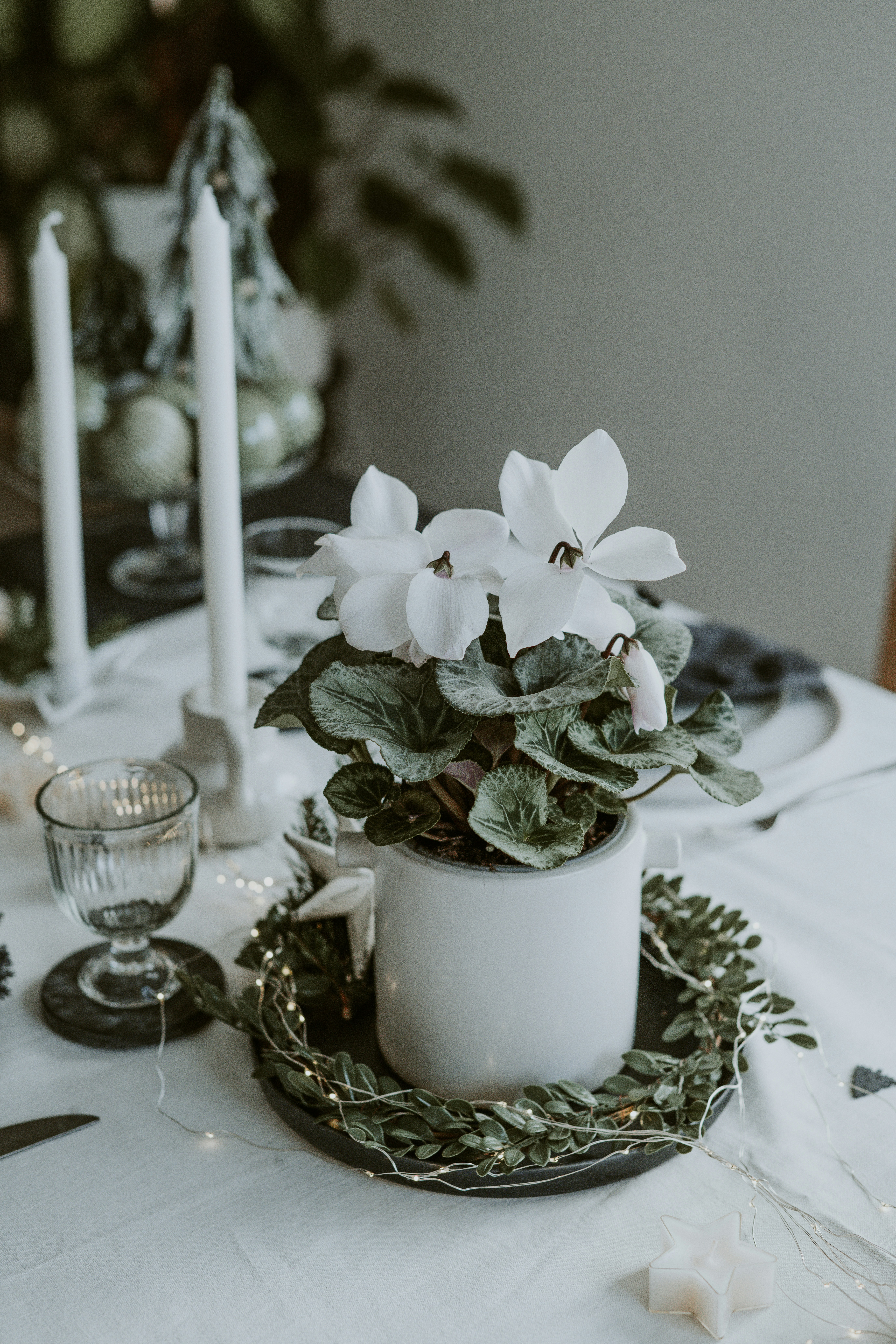 Photo by anitaaustvika