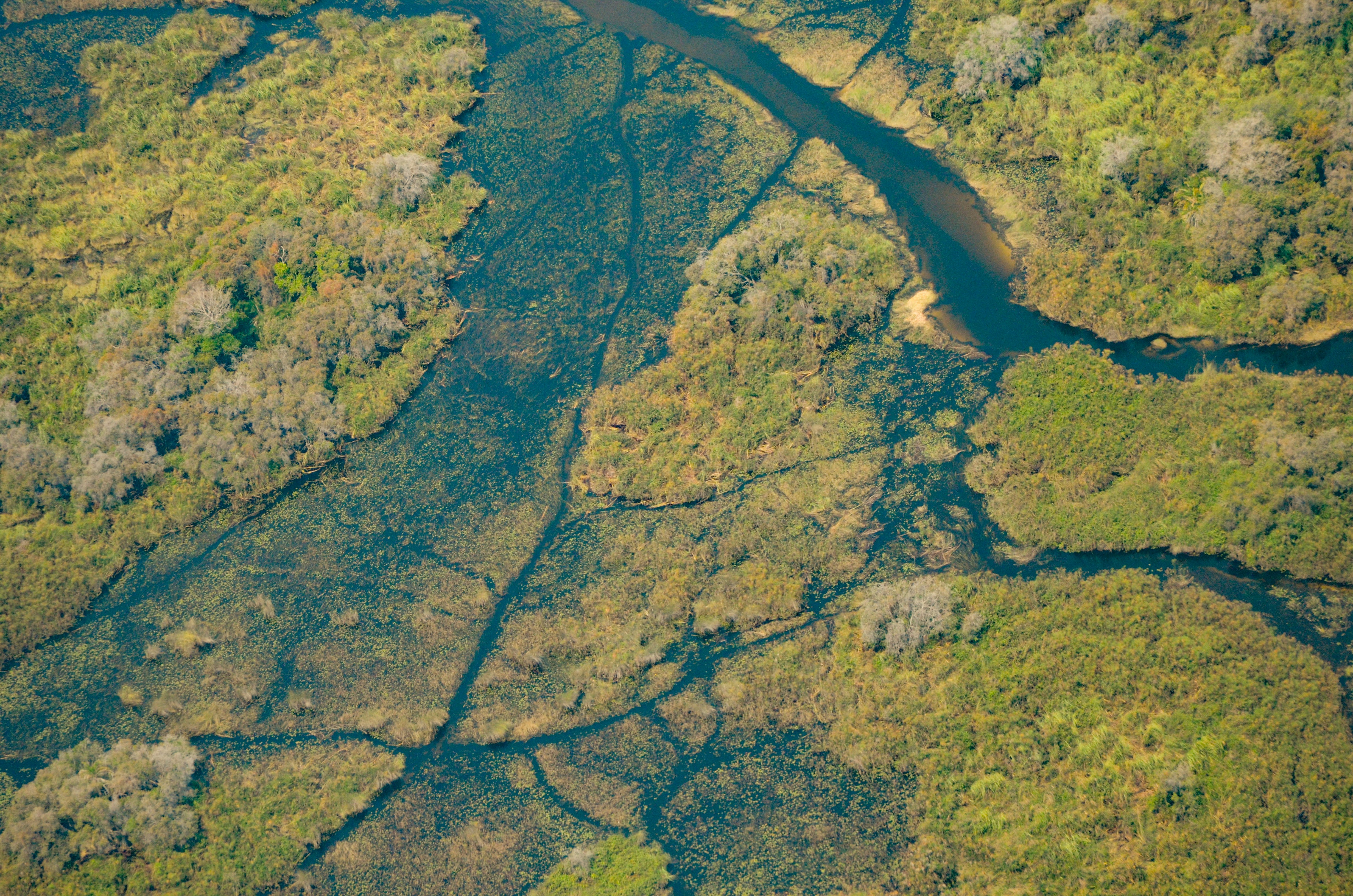 photo by Beth Macdonald (@elsbethcat) on unsplash