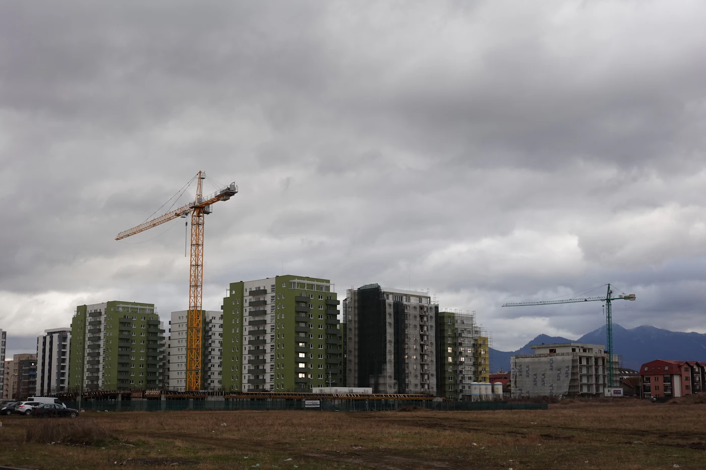 R.C.C or Steel: Choosing the Right Structure for Your Project