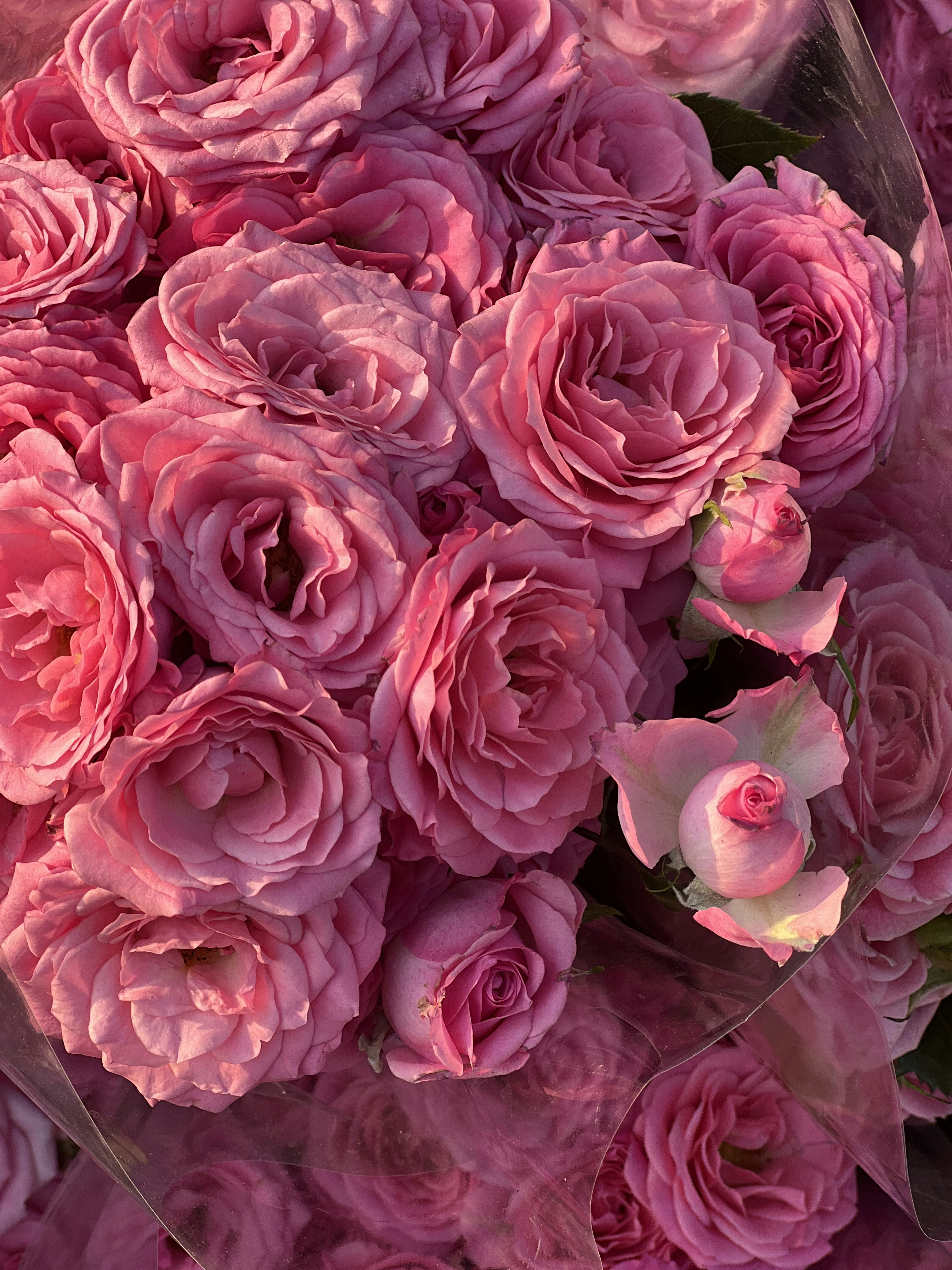 Photo by faezeh_eslami