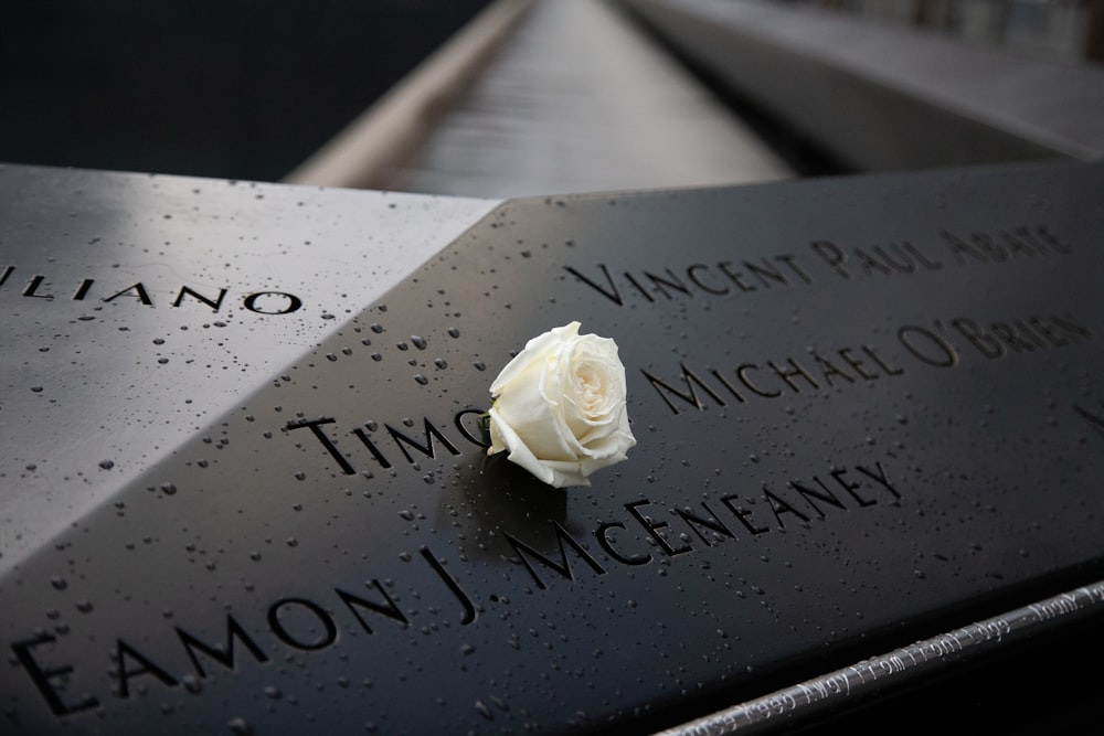 a white rose is placed on a memorial