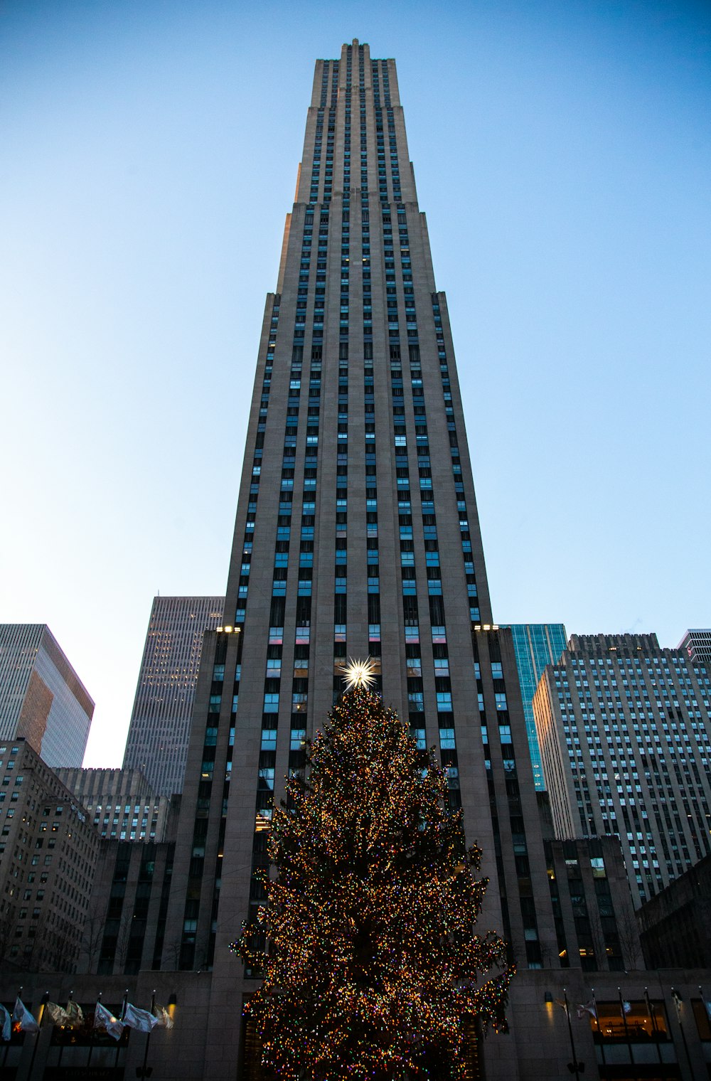 a large christmas tree in front of a tall building