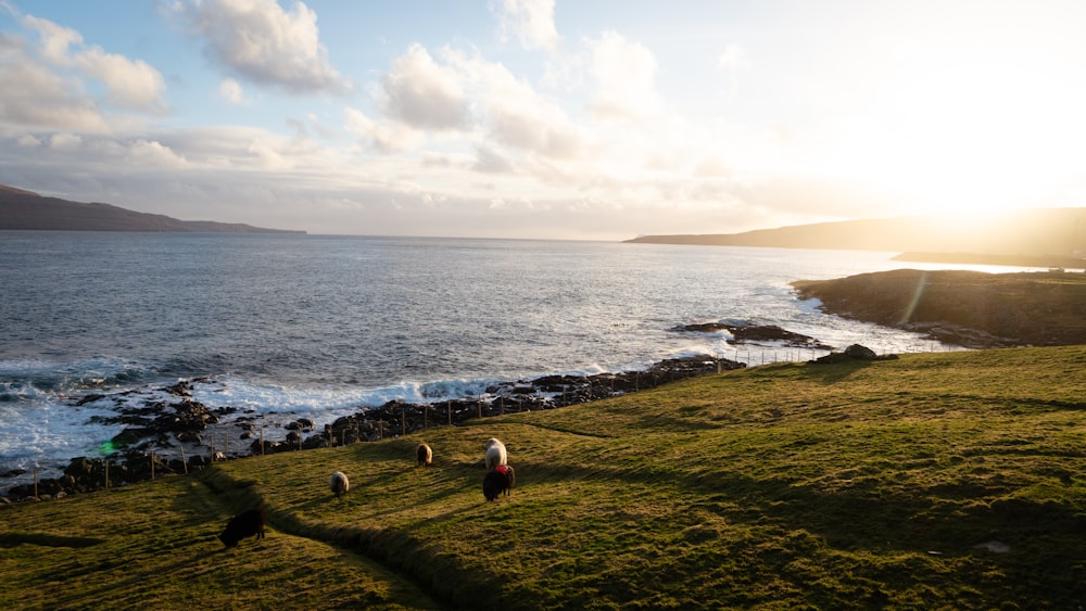 a group of people standing on top of a lush green hillside