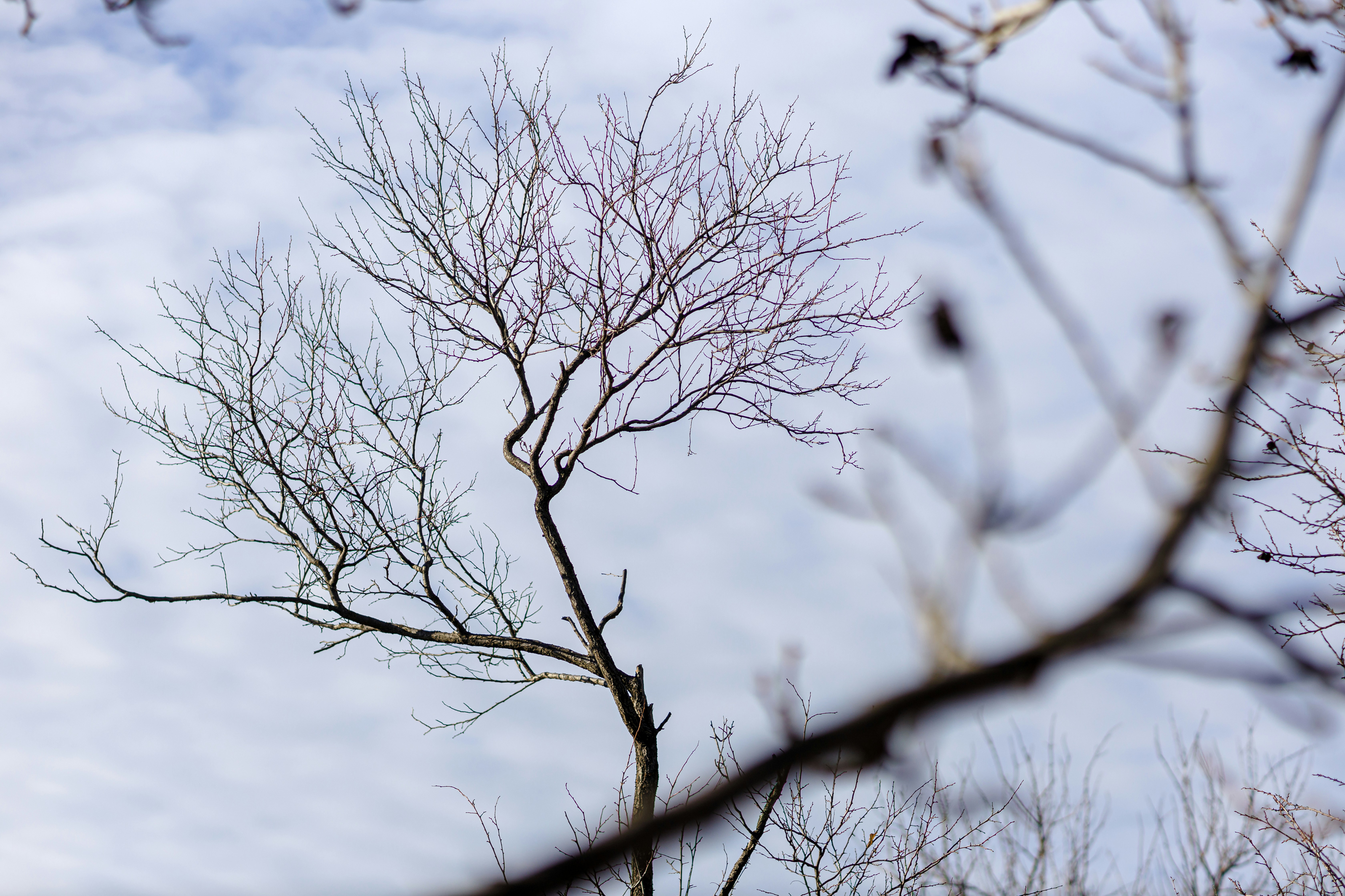 Photo by malygos6000