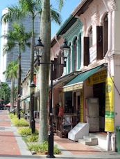 a row of palm trees on a city street