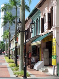 a row of palm trees on a city street