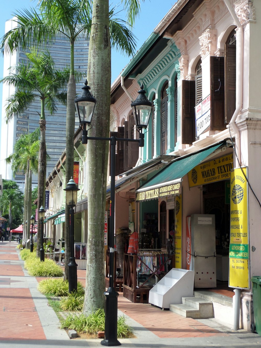 a row of palm trees on a city street
