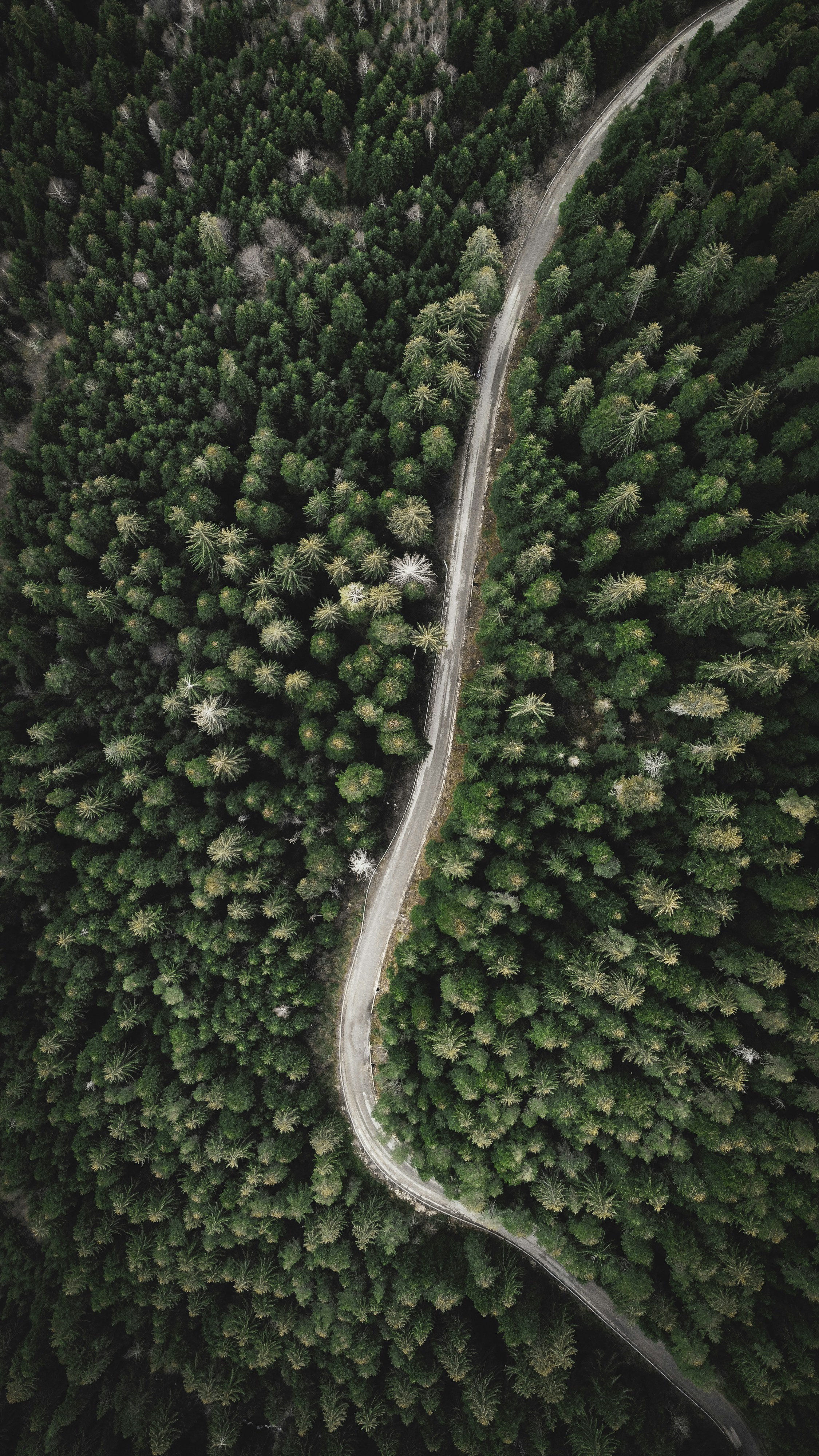 Photo by vencislavsh