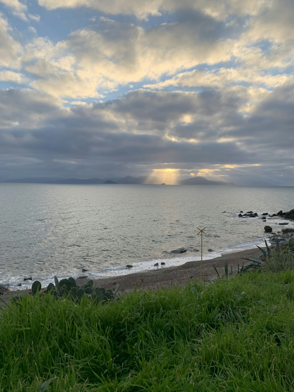 a bench sitting on top of a lush green hillside next to the ocean