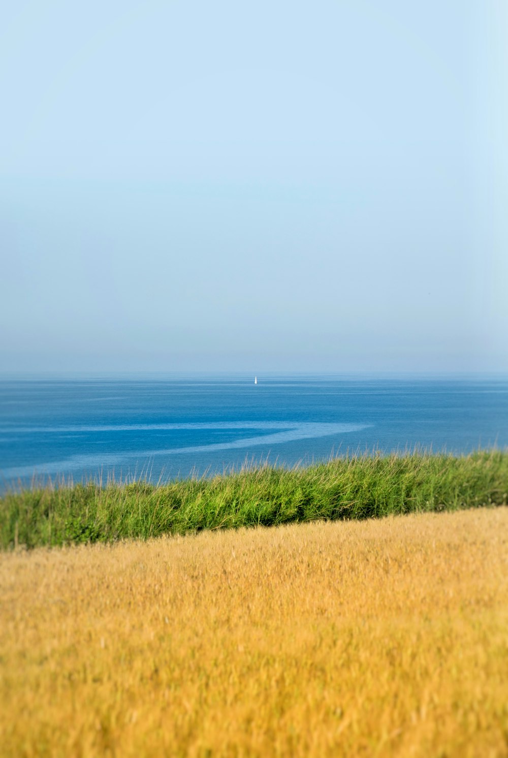 a grassy field with a body of water in the distance