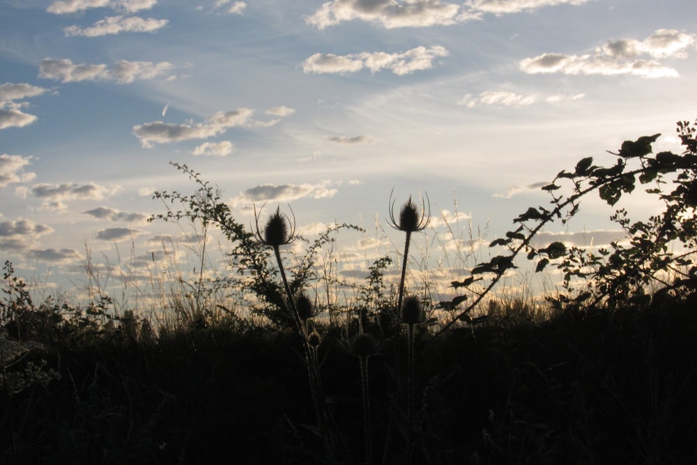 Die Sonne scheint durch die Wolken am Himmel