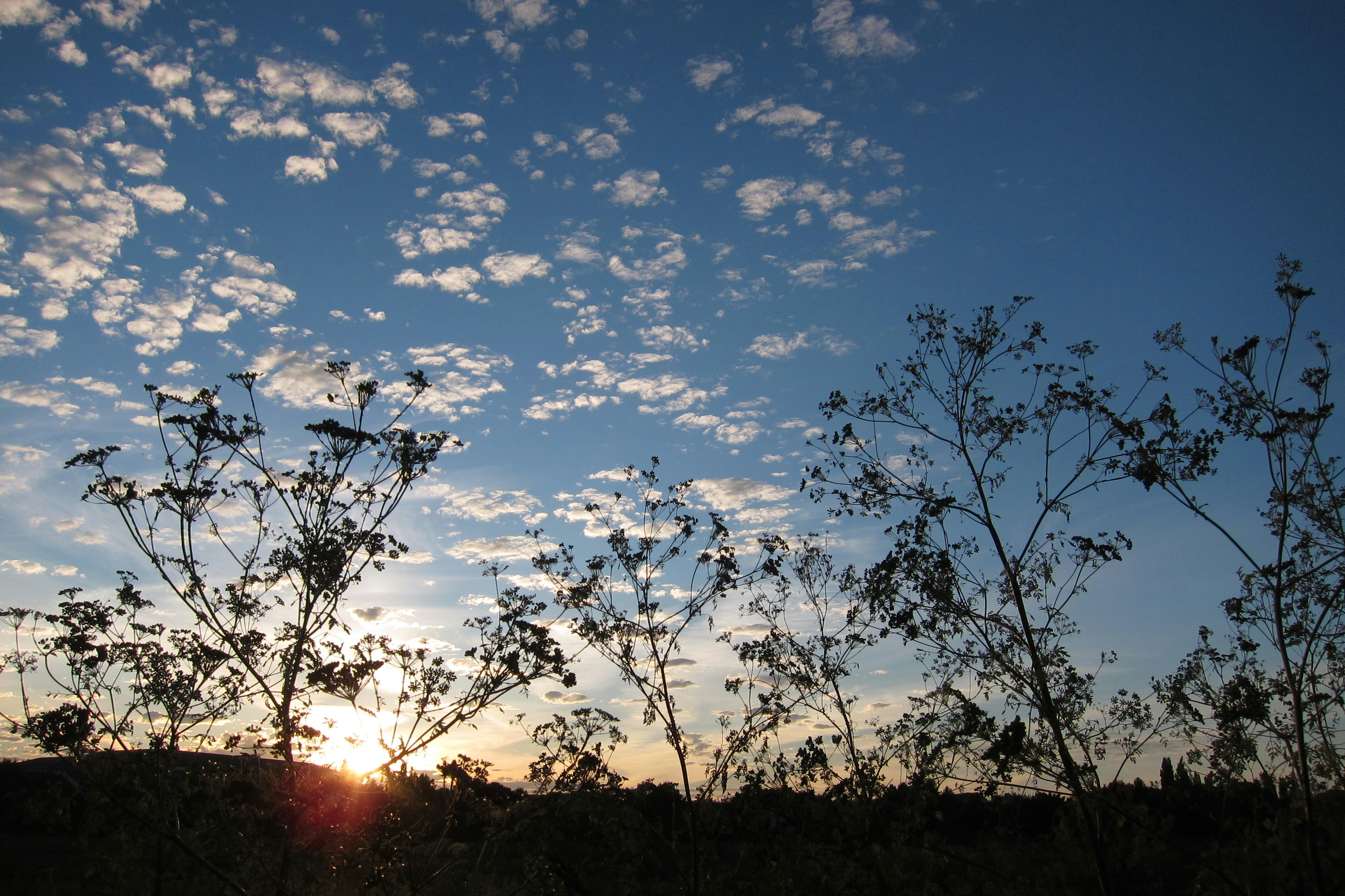 Photo by generein