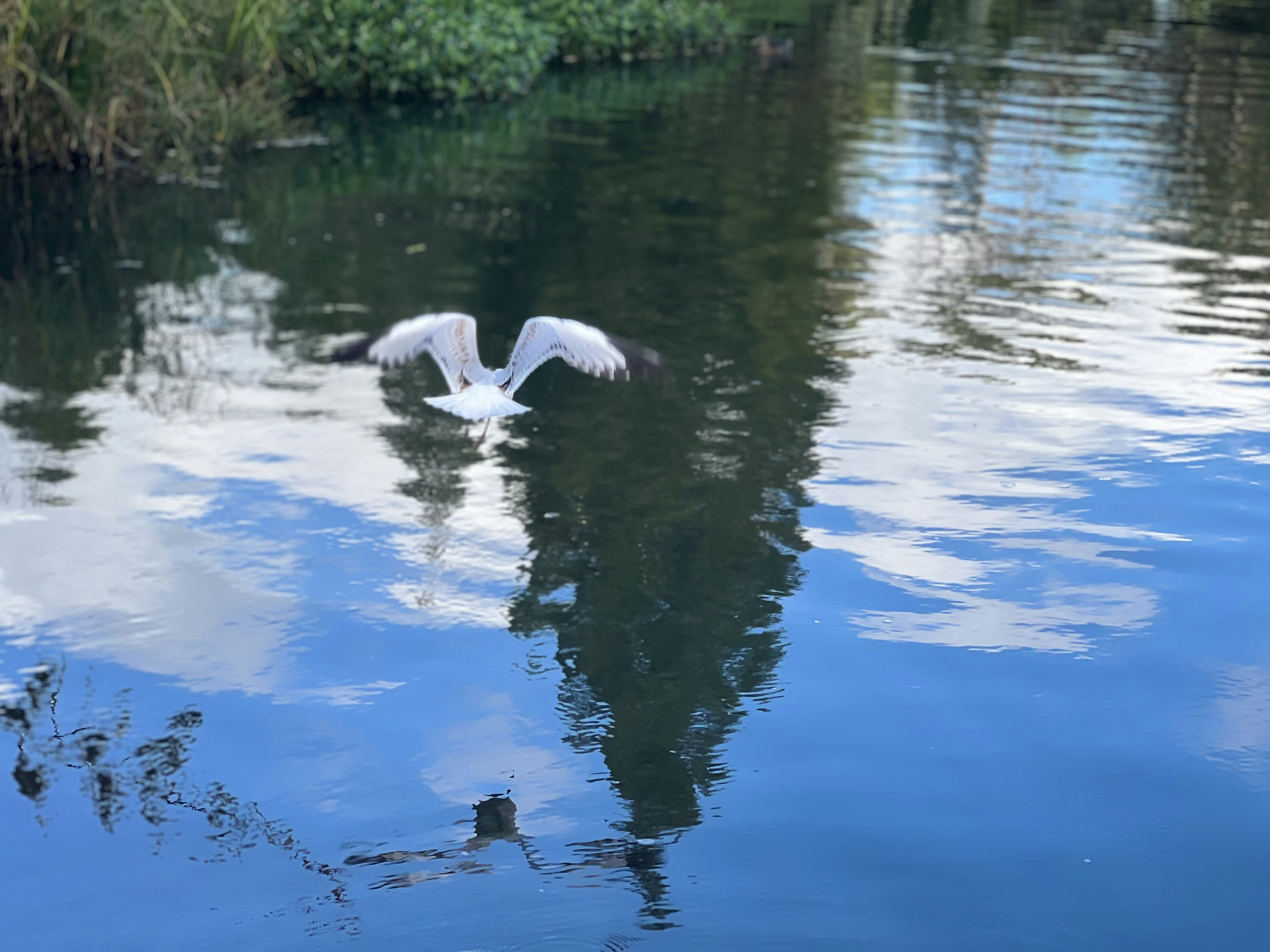 Photo by njan007