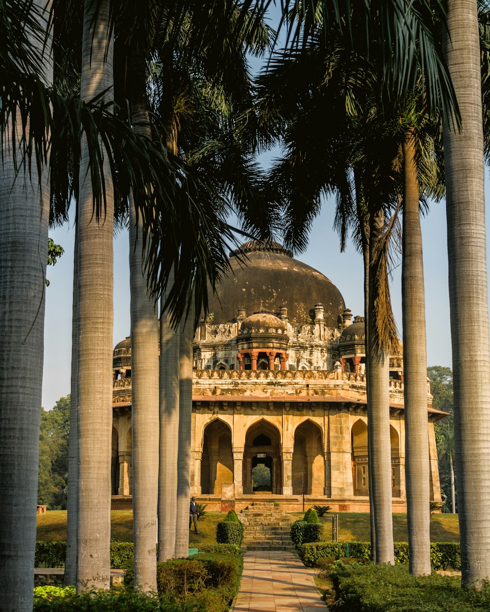 a building with a dome surrounded by palm trees