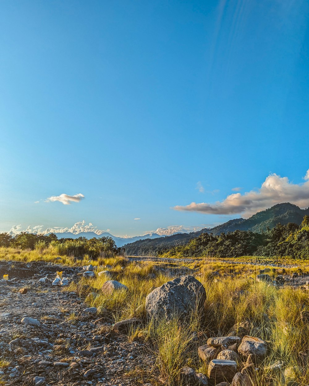 a field with rocks and grass and mountains in the background